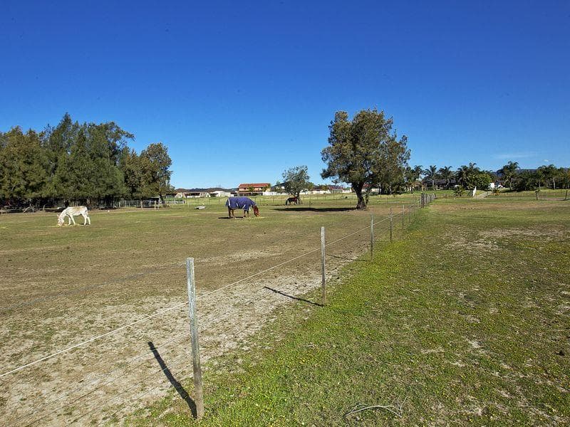 24 Spoonbill Place, Albion Park Rail, Albion Park Rail - Thumbnail 8