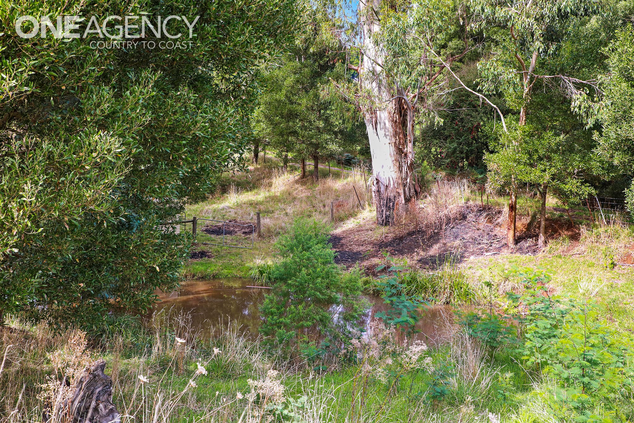 4 Community Place, Ellinbank, Ellinbank - Thumbnail 4