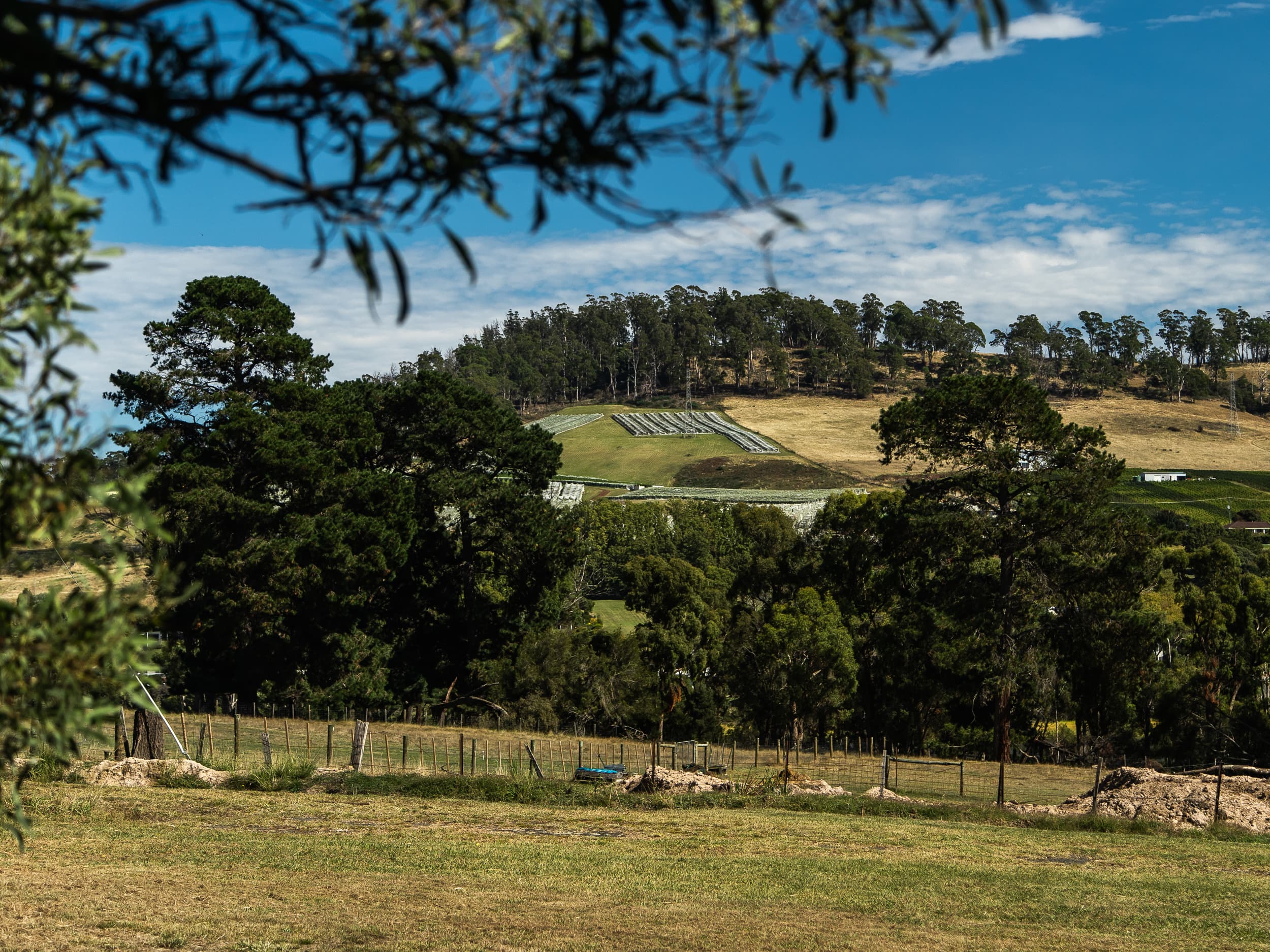 84 Ridge Road, Legana, Legana - Thumbnail 7