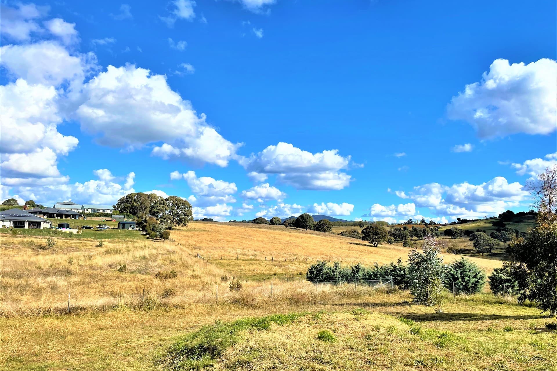 88 Dean Drive, Orange, Orange - Thumbnail 4