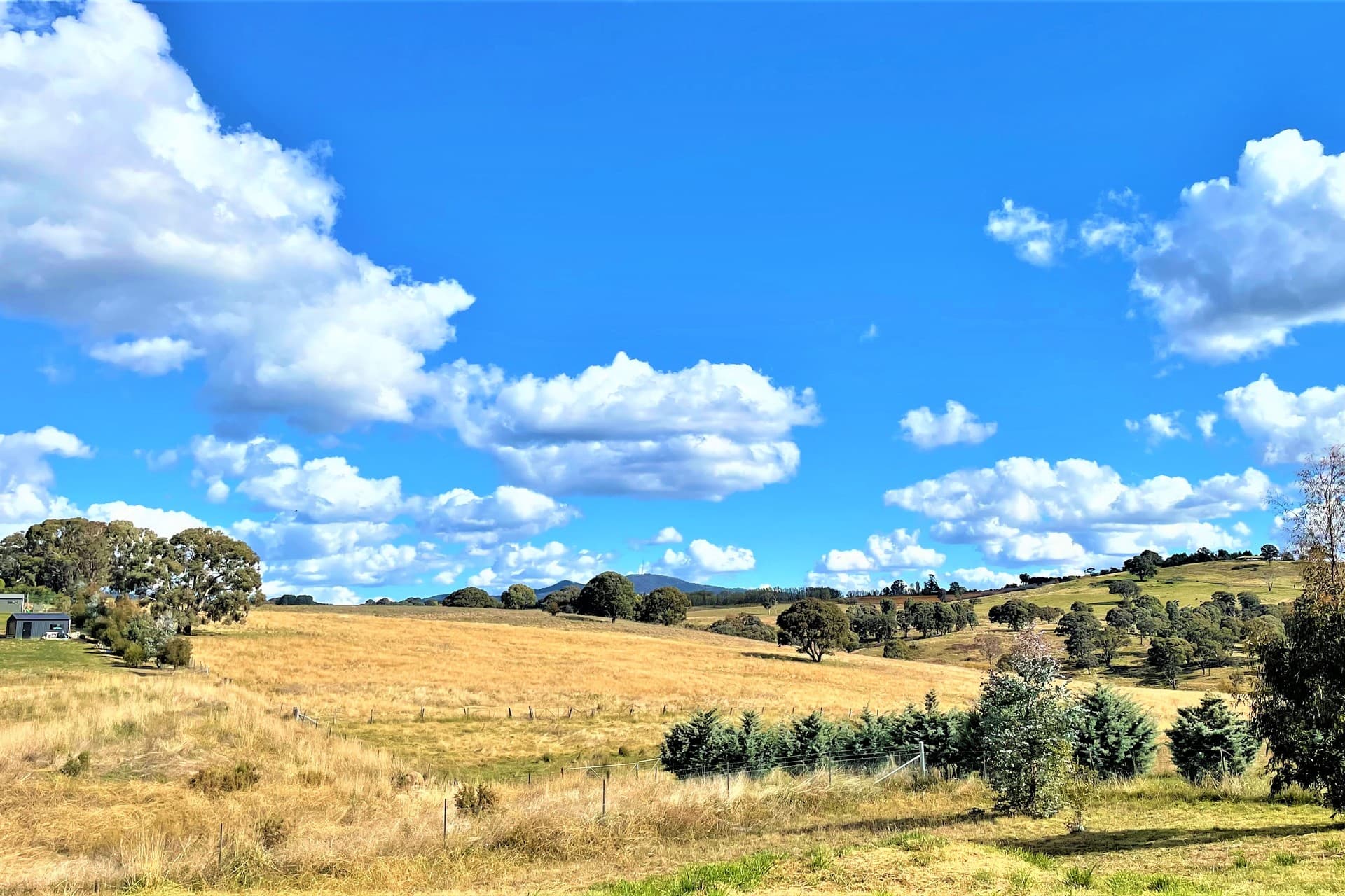 88 Dean Drive, Orange, Orange - Image 1