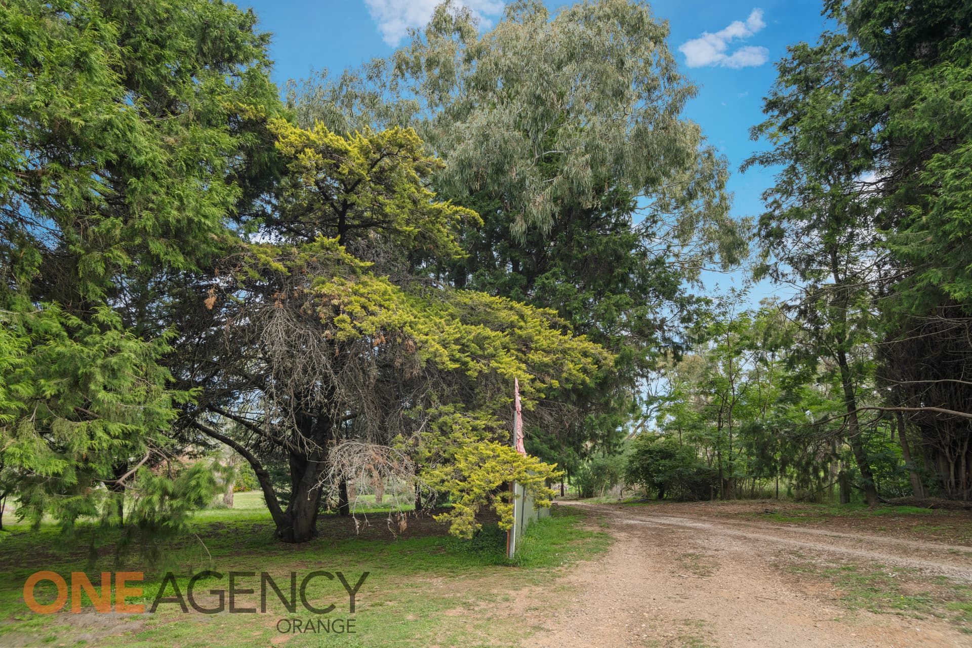 5 Carwoola Drive, Orange, Orange - Thumbnail 6