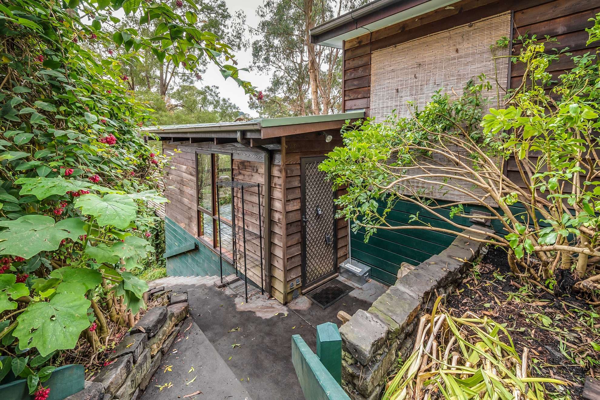 58 Kaola Street, Belgrave, Belgrave - Image 1