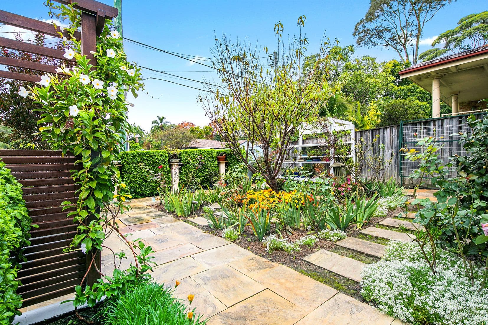 1/18 Woodlands Road, Forestville, Forestville - Thumbnail 5
