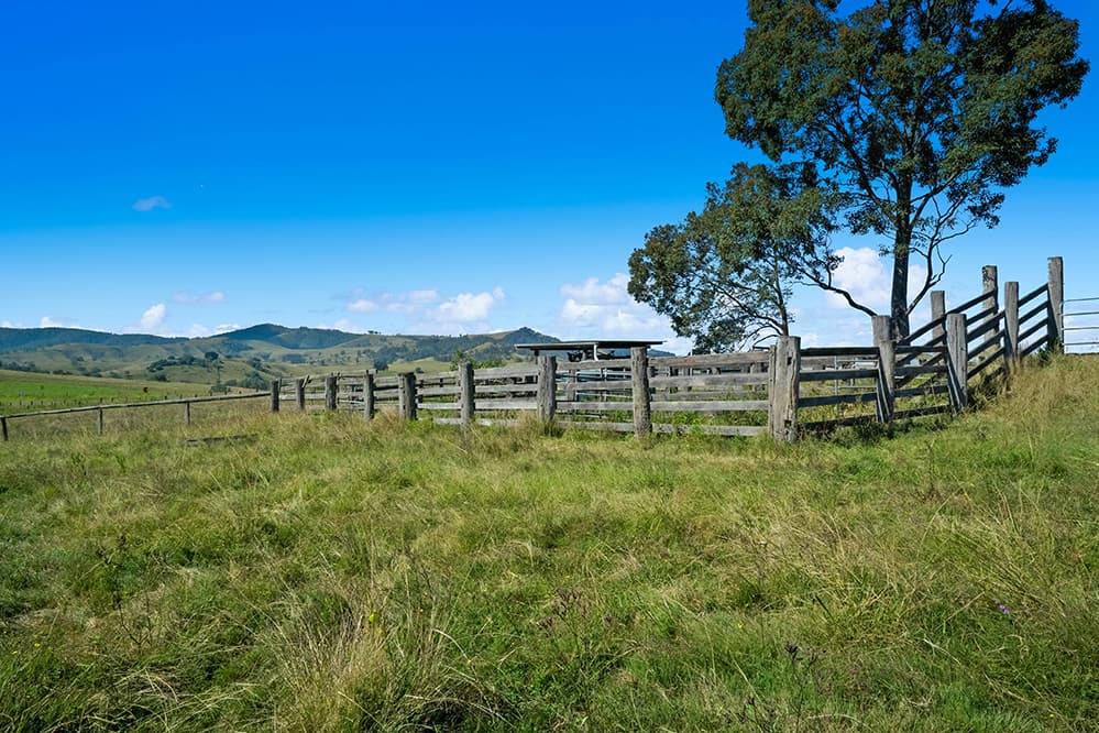 1620 Bingleburra Road, East Gresford, East Gresford - Thumbnail 3