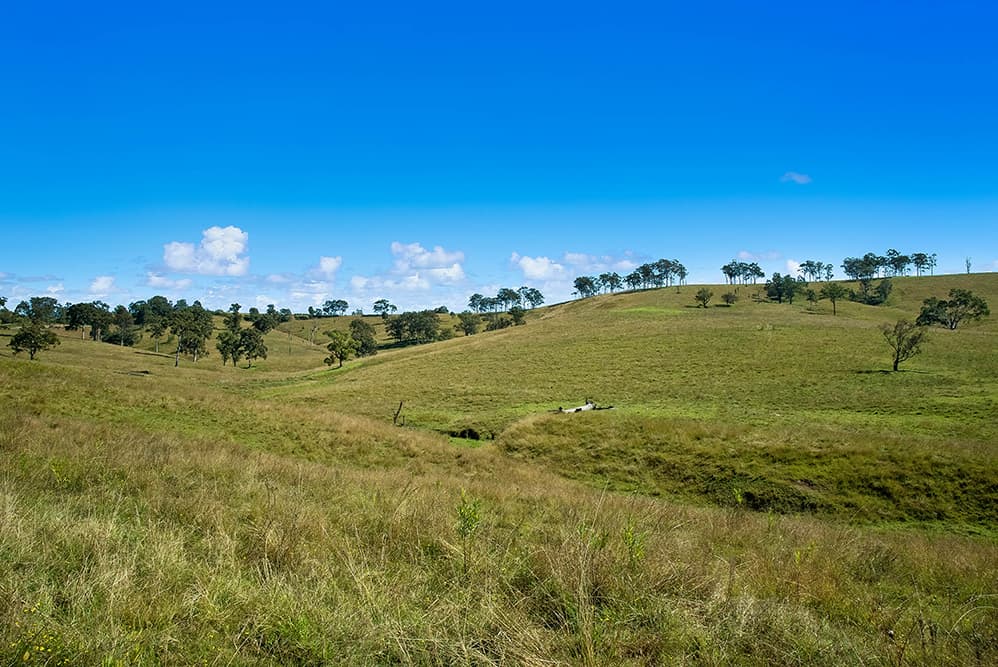 1620 Bingleburra Road, East Gresford, East Gresford - Thumbnail 4