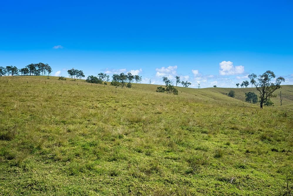 1620 Bingleburra Road, East Gresford, East Gresford - Thumbnail 5