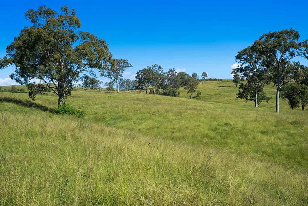 1620 Bingleburra Road, East Gresford, East Gresford - Thumbnail 7