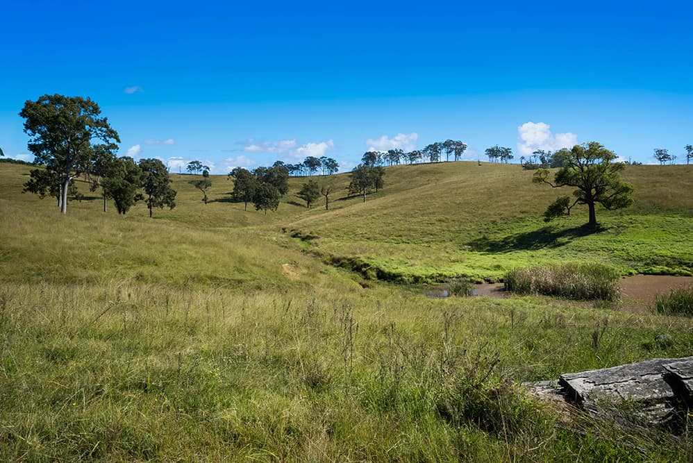 1620 Bingleburra Road, East Gresford, East Gresford - Thumbnail 8