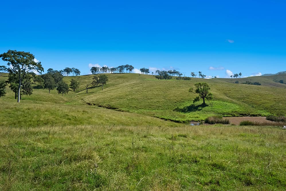 1620 Bingleburra Road, East Gresford, East Gresford - Image 1