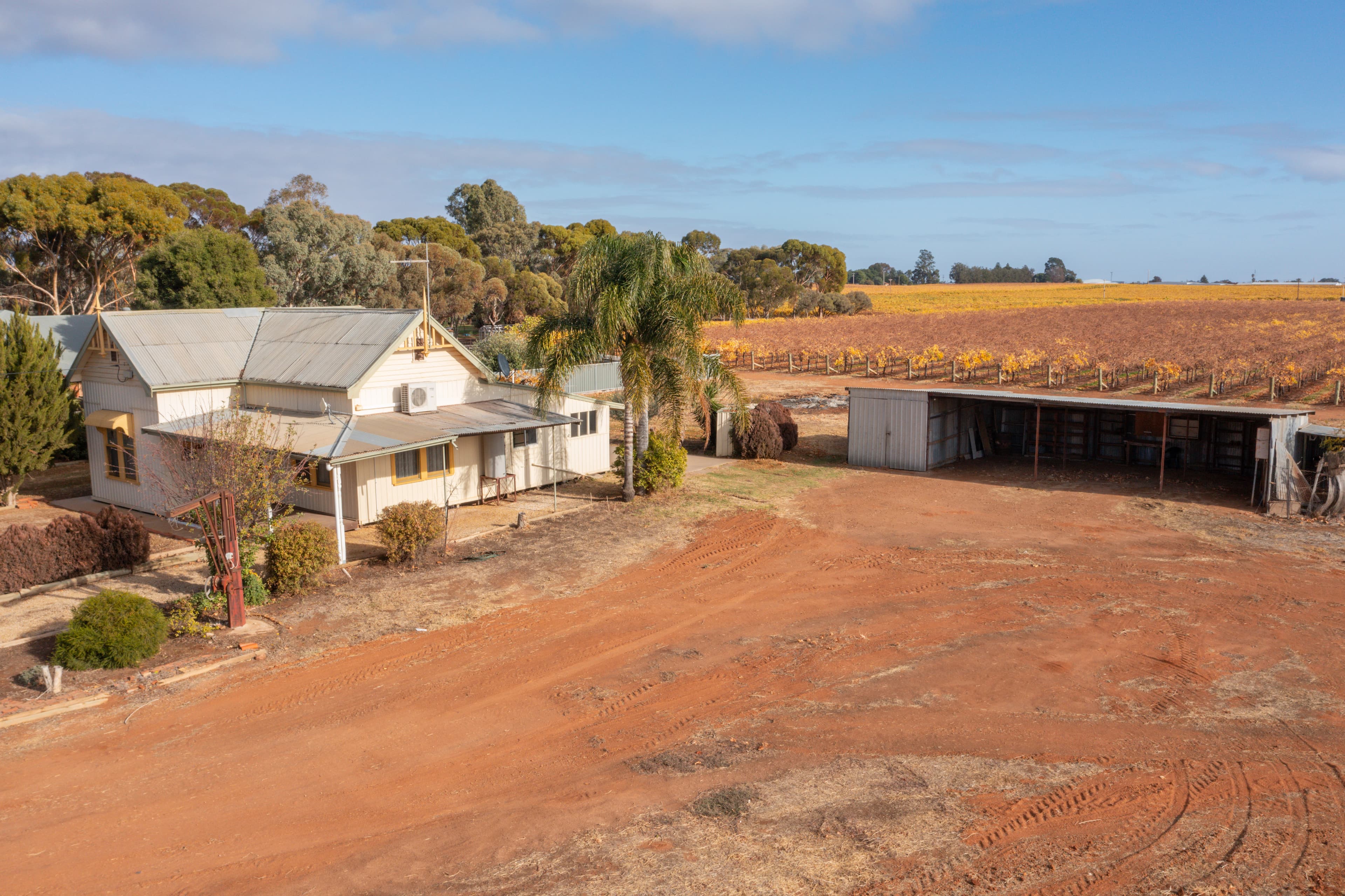316 Belar Avenue, Irymple, Irymple - Thumbnail 3