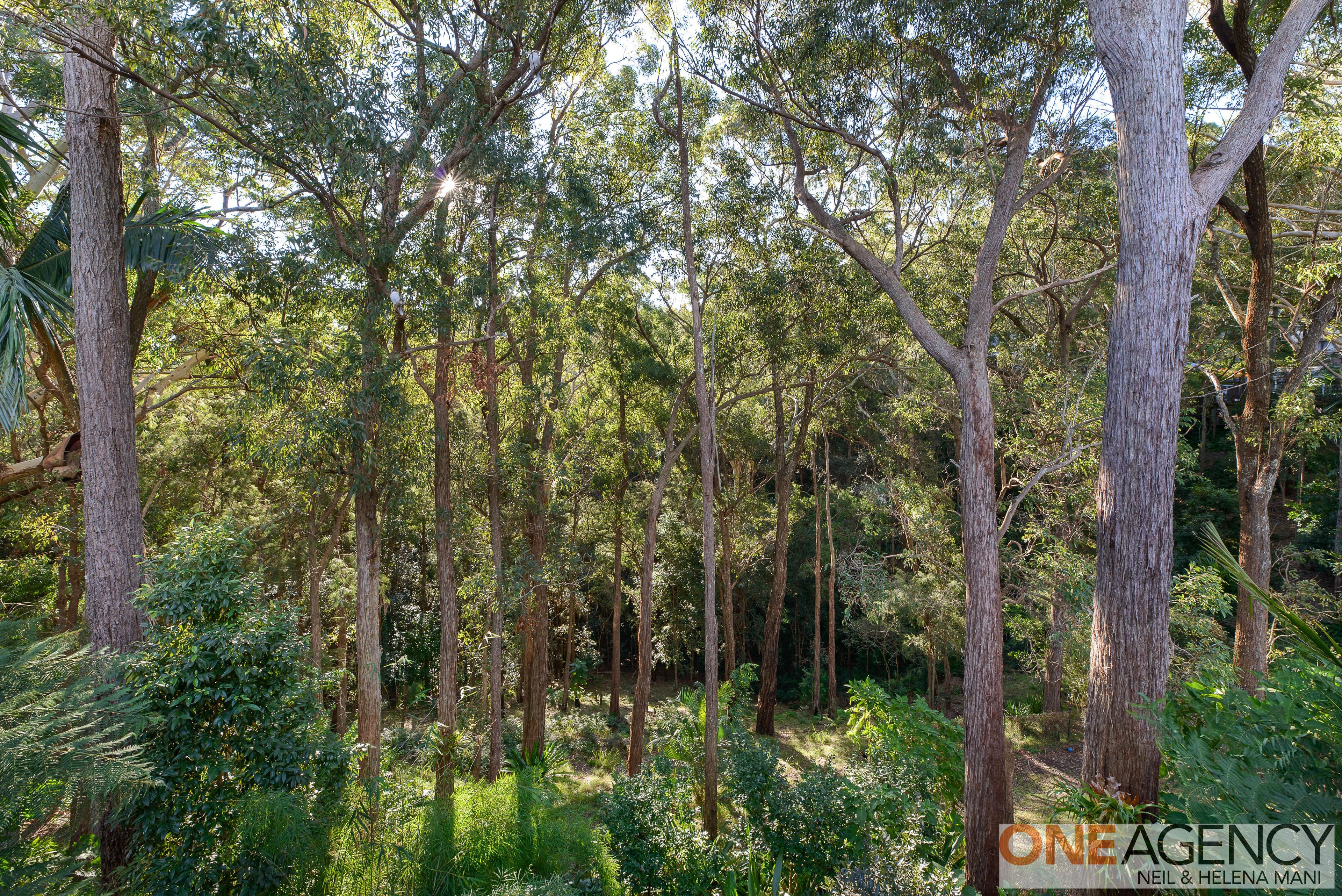50 Bay View Avenue, East Gosford, East Gosford - Thumbnail 6