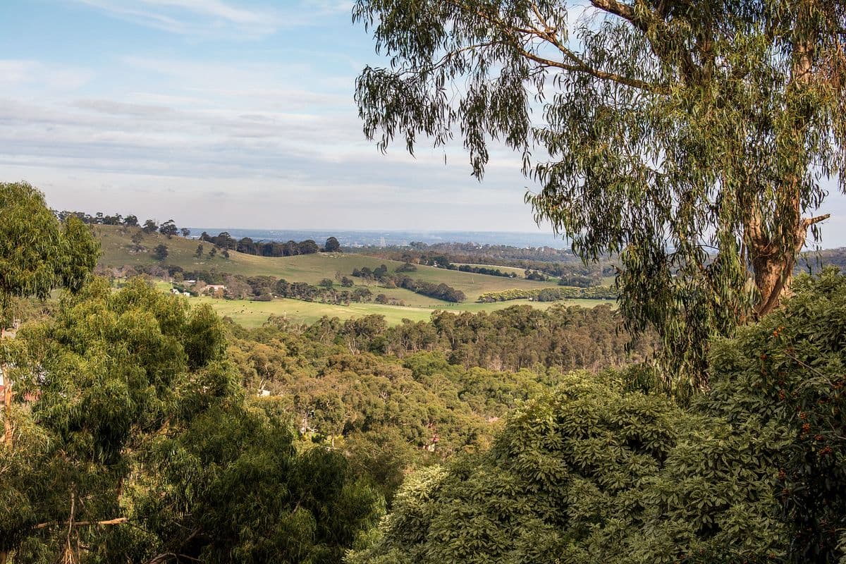 9 Ternes Road, Upwey, Upwey - Thumbnail 4