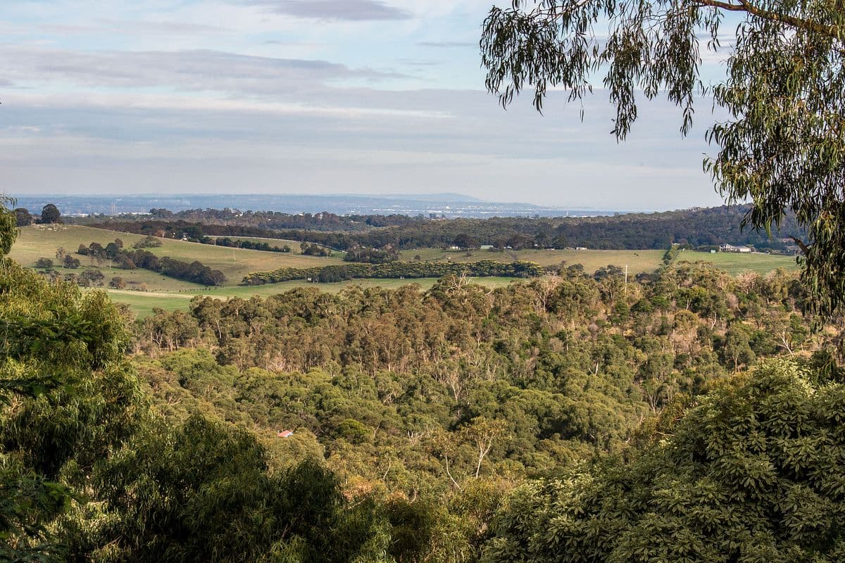 9 Ternes Road, Upwey, Upwey - Thumbnail 3