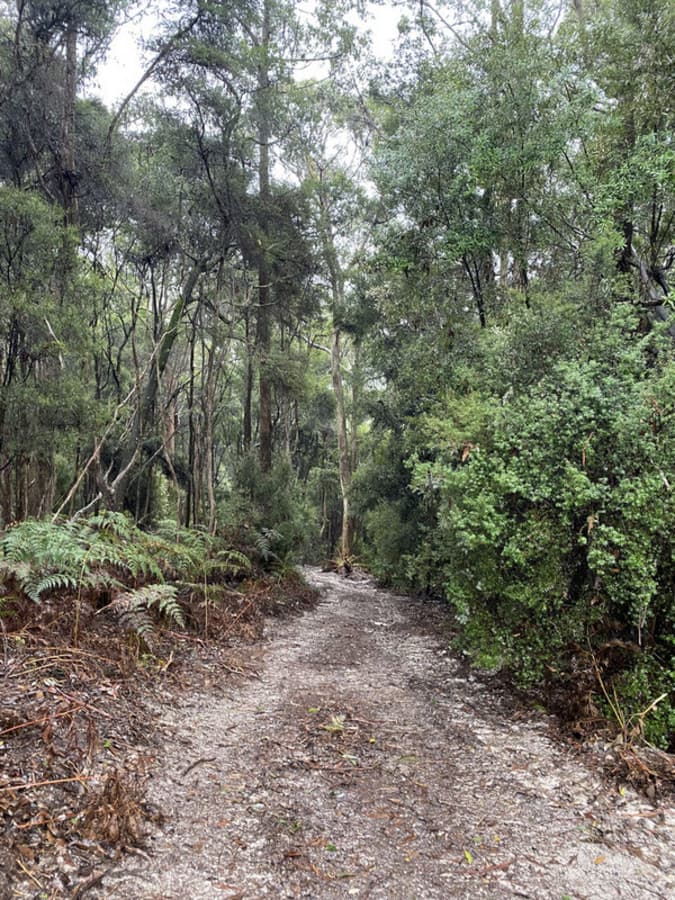 1D Rawlings Road, Upper Stowport, Upper Stowport - Thumbnail 5