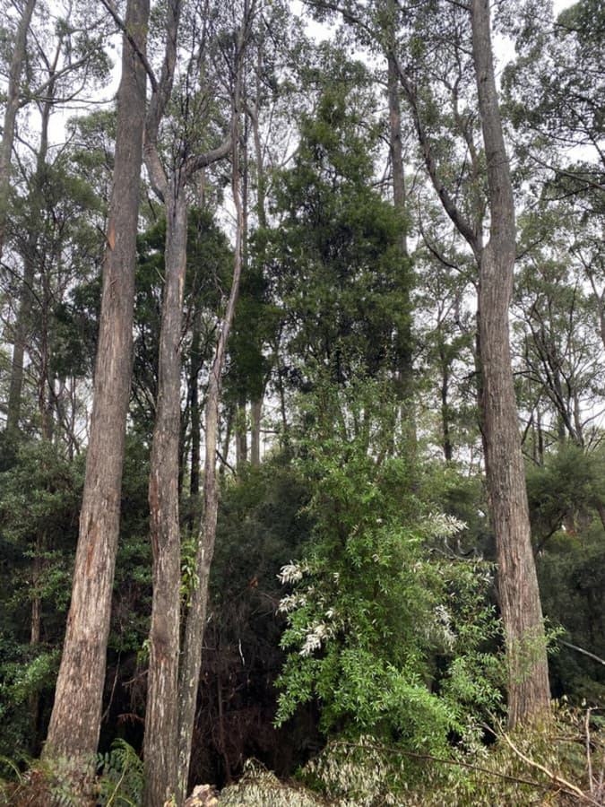 1D Rawlings Road, Upper Stowport, Upper Stowport - Thumbnail 6