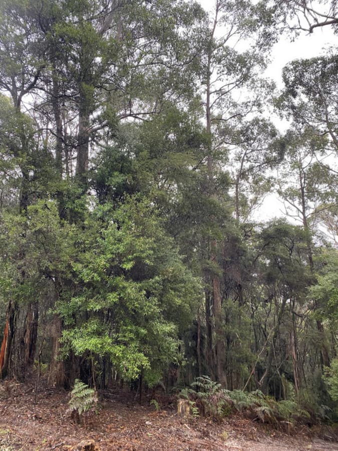 1D Rawlings Road, Upper Stowport, Upper Stowport - Thumbnail 7