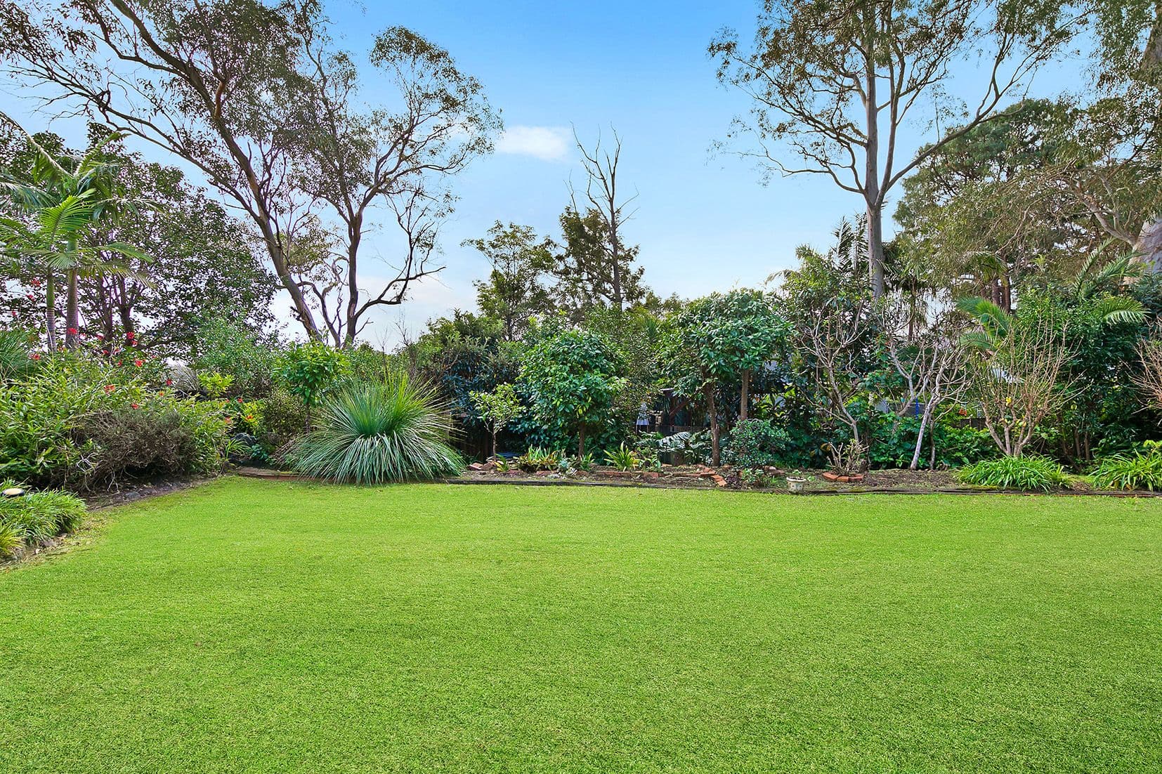 13 Bangalla Place, Forestville, Forestville - Thumbnail 4