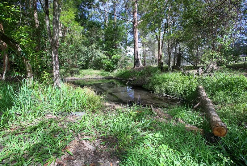Lot 2/42 Skinner Close, Emerald Beach, Emerald Beach - Thumbnail 6
