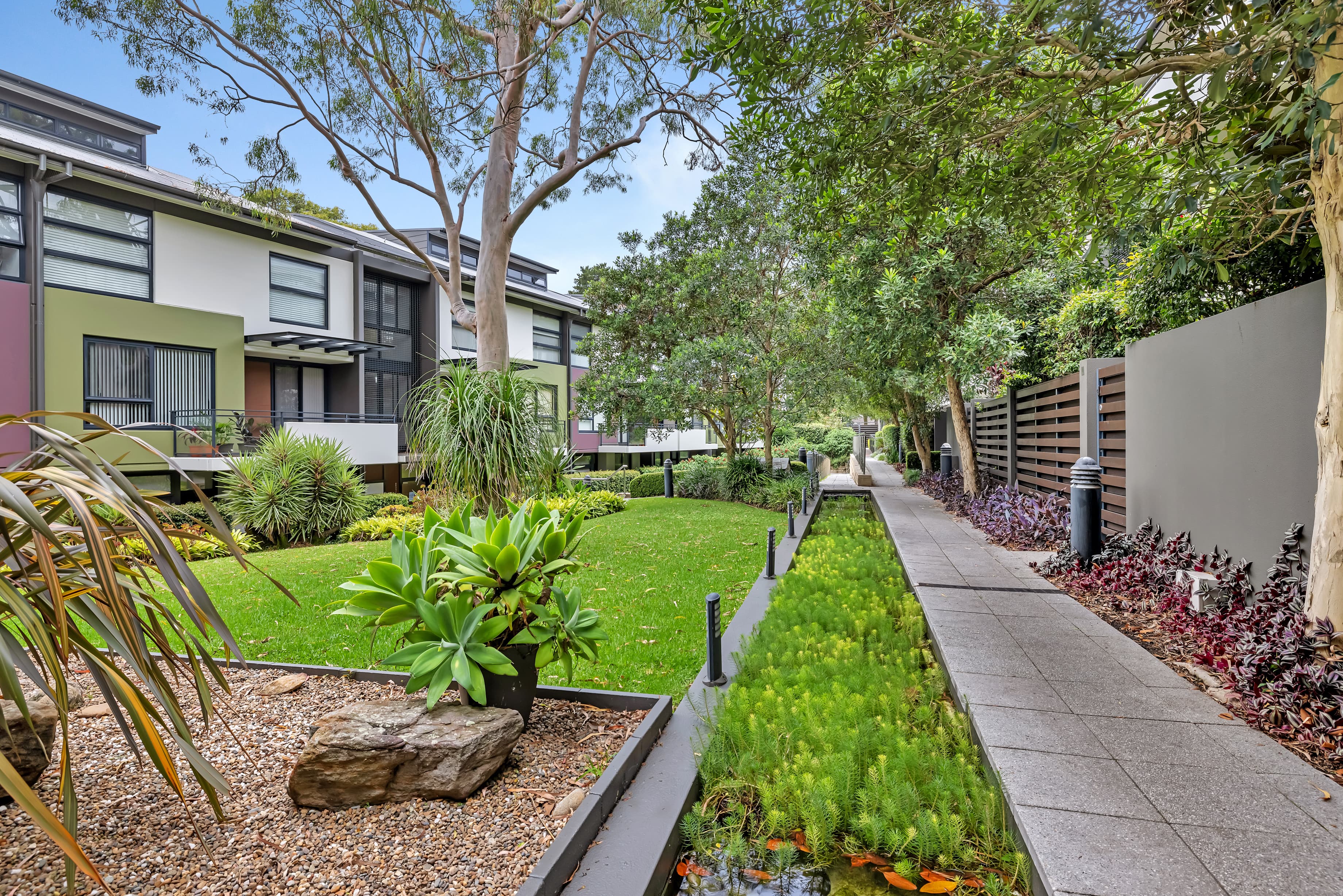 203/2-4 Darley Street, Forestville, Forestville - Thumbnail 7