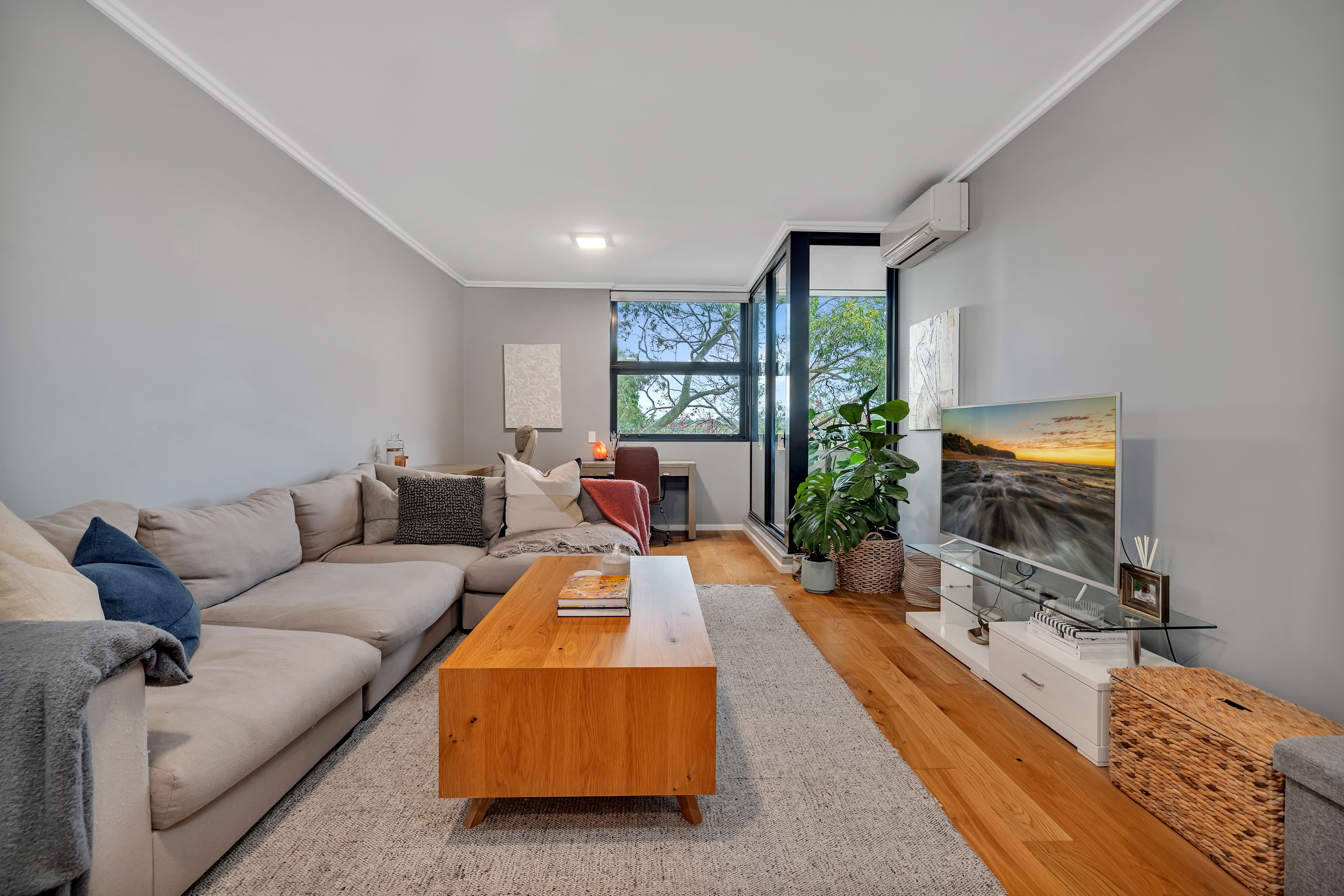 203/2-4 Darley Street, Forestville, Forestville - Image 1