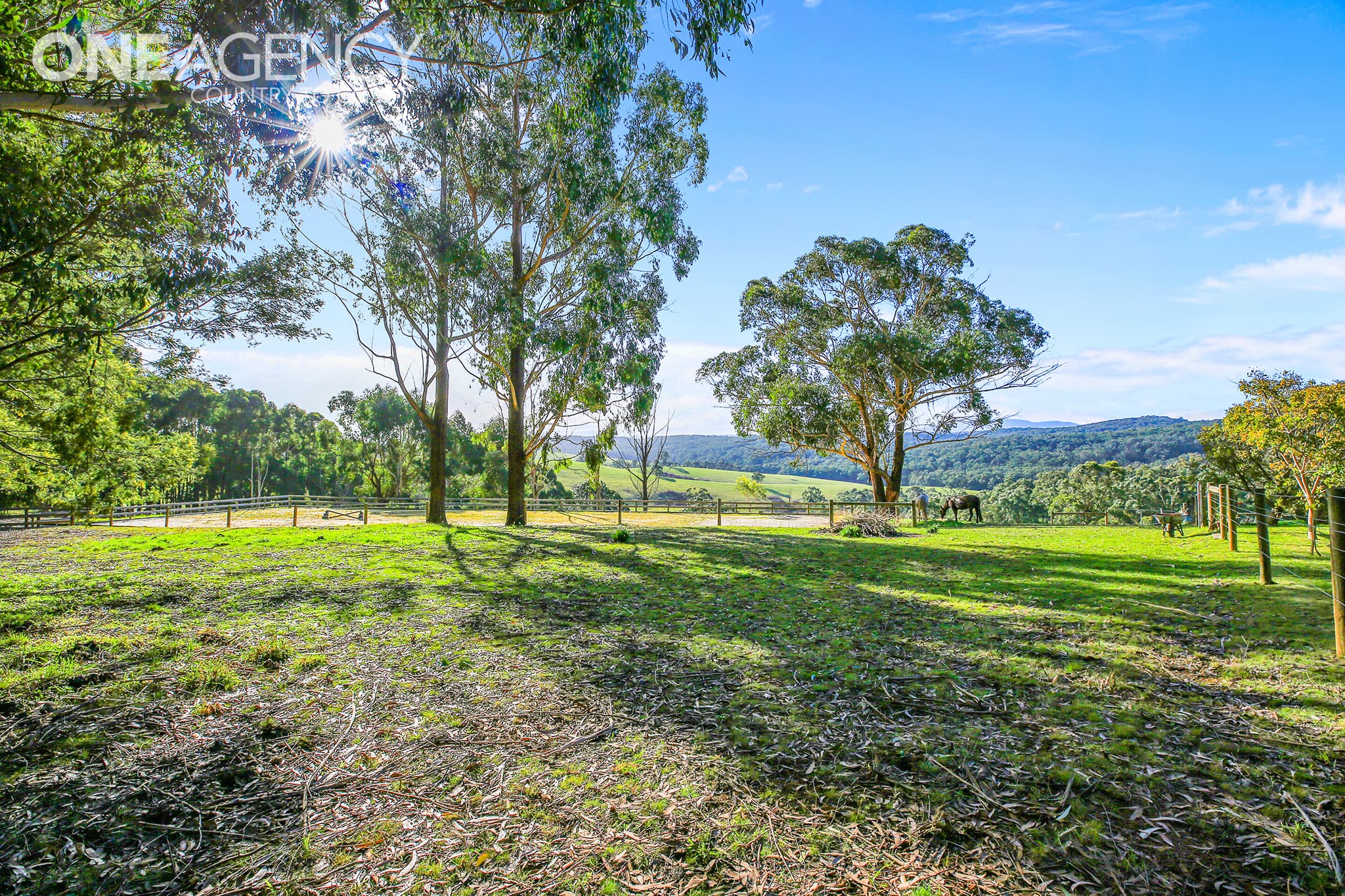 669 Old Telegraph Road East, Crossover, Crossover - Image 1