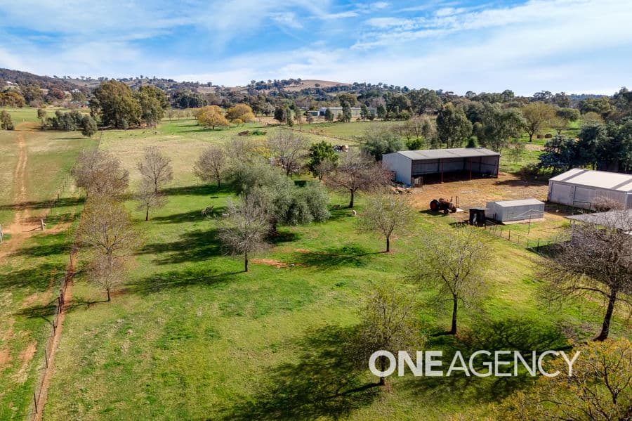 8 EUGENE Avenue, San Isidore, San Isidore - Thumbnail 5