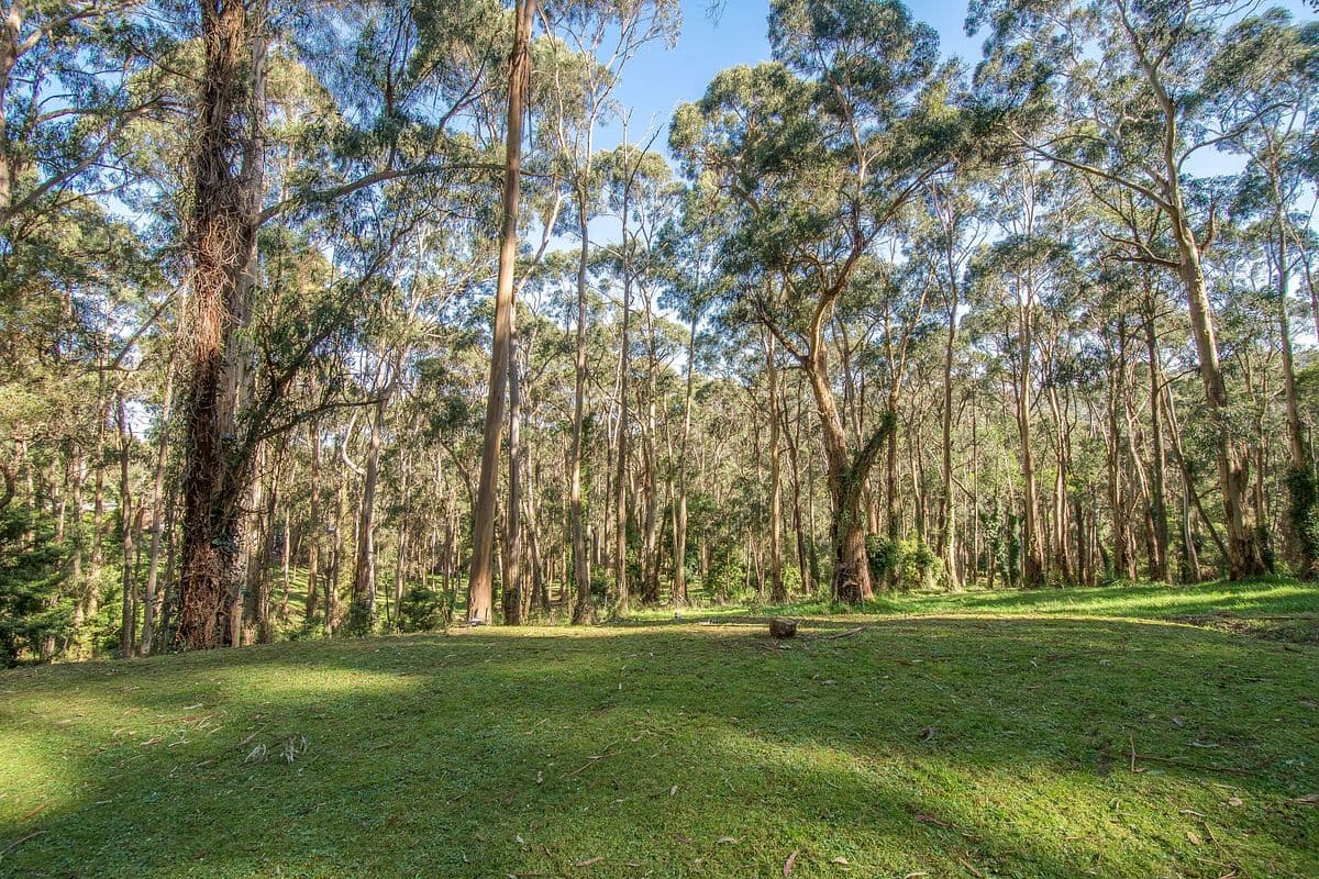 1 Elliott Road, Upwey, Upwey - Thumbnail 3