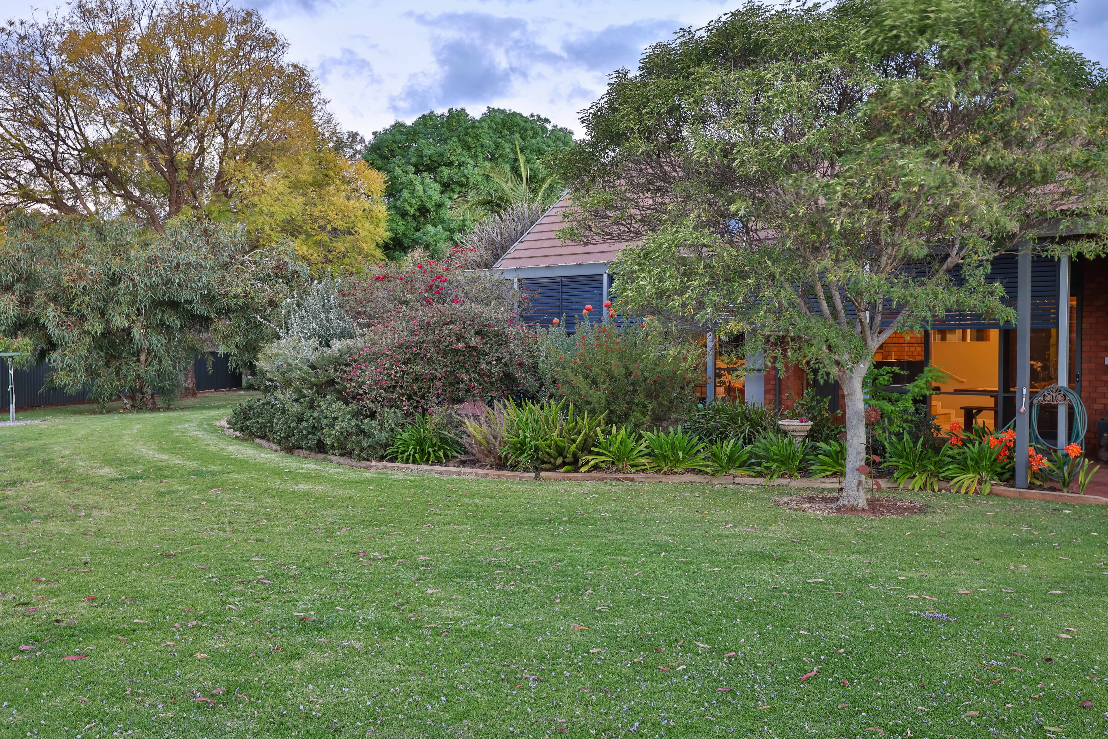 980 Cureton Avenue, Irymple, Irymple - Thumbnail 4