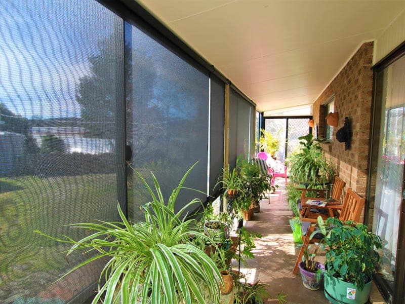 49 Maclean Street, Numeralla, Numeralla - Thumbnail 6