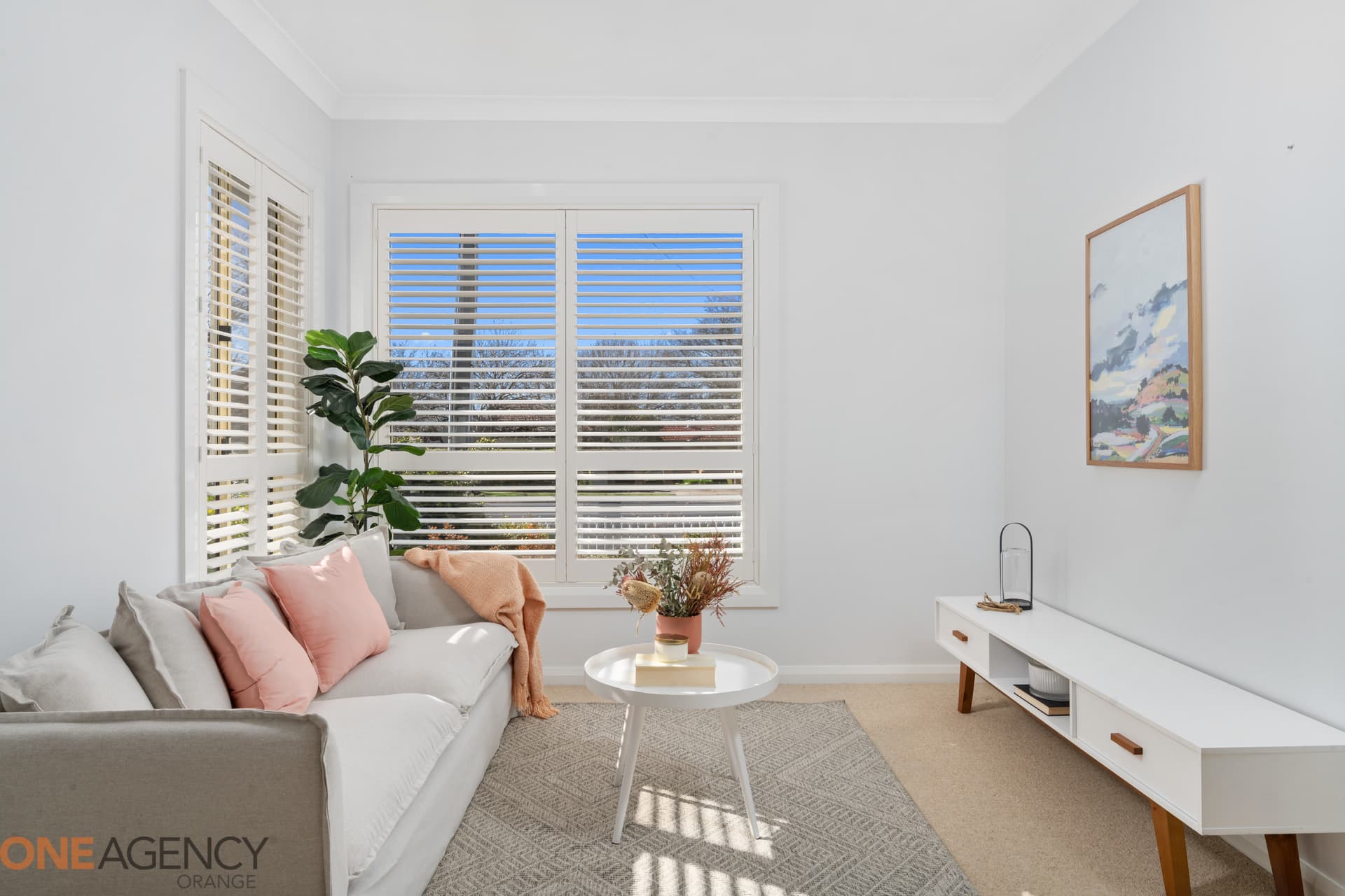 305 Anson Street, Orange, Orange - Thumbnail 3