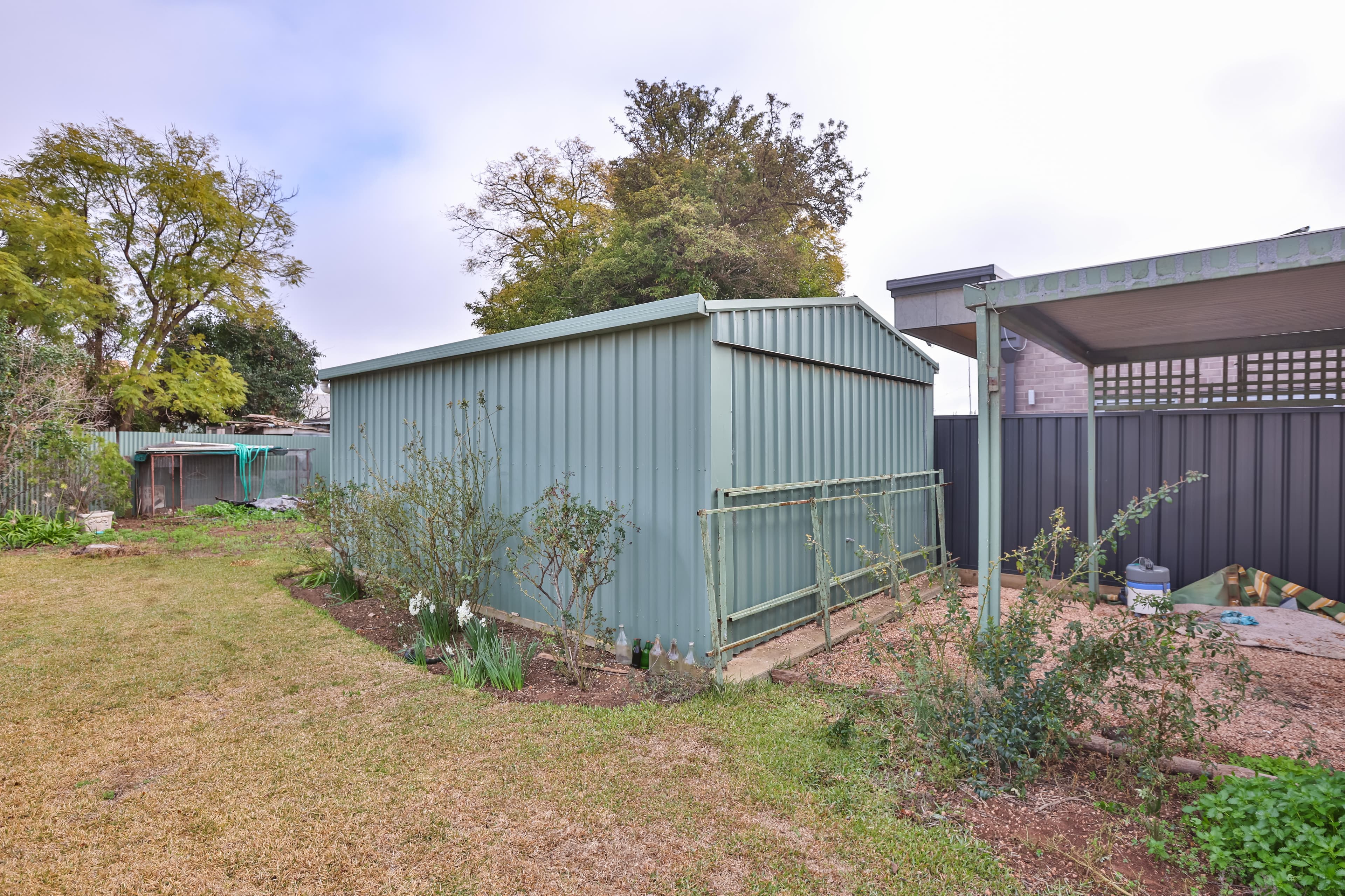 39 Olive Avenue, Mildura, Mildura - Thumbnail 8