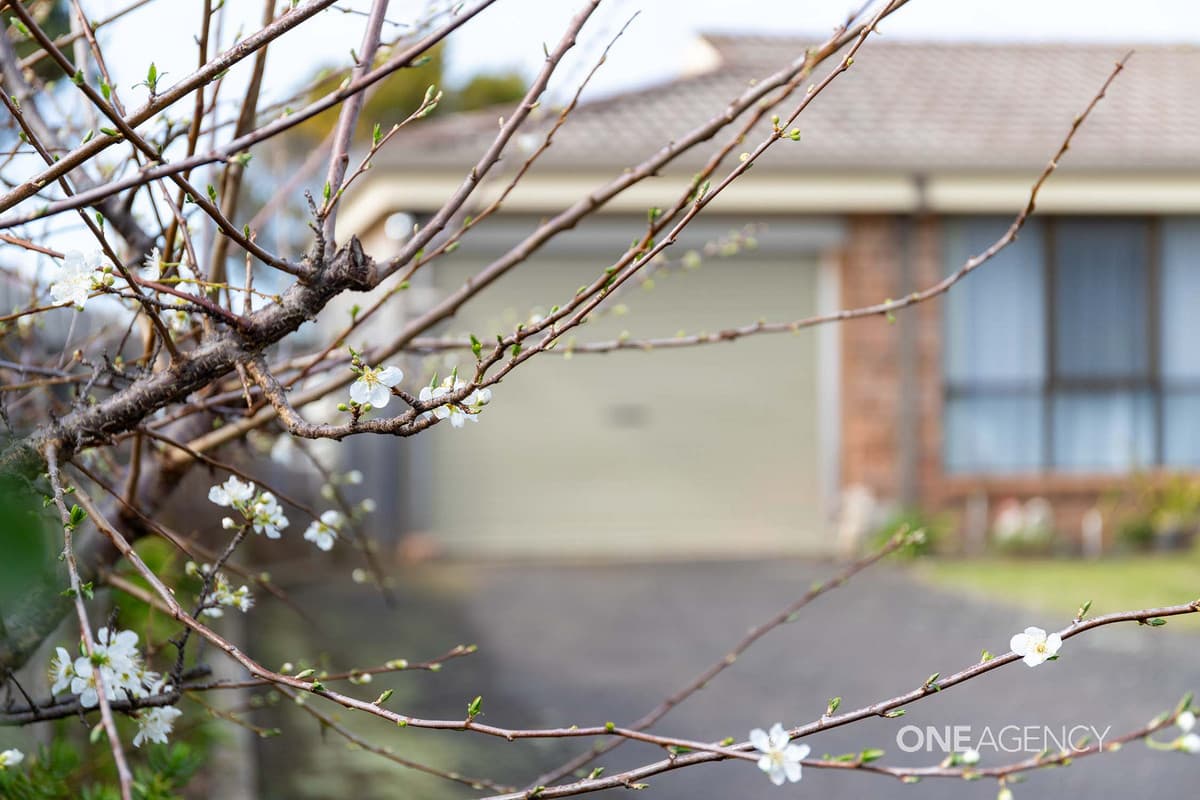 3/7 Fidler Street, Cooee, Cooee - Thumbnail 5