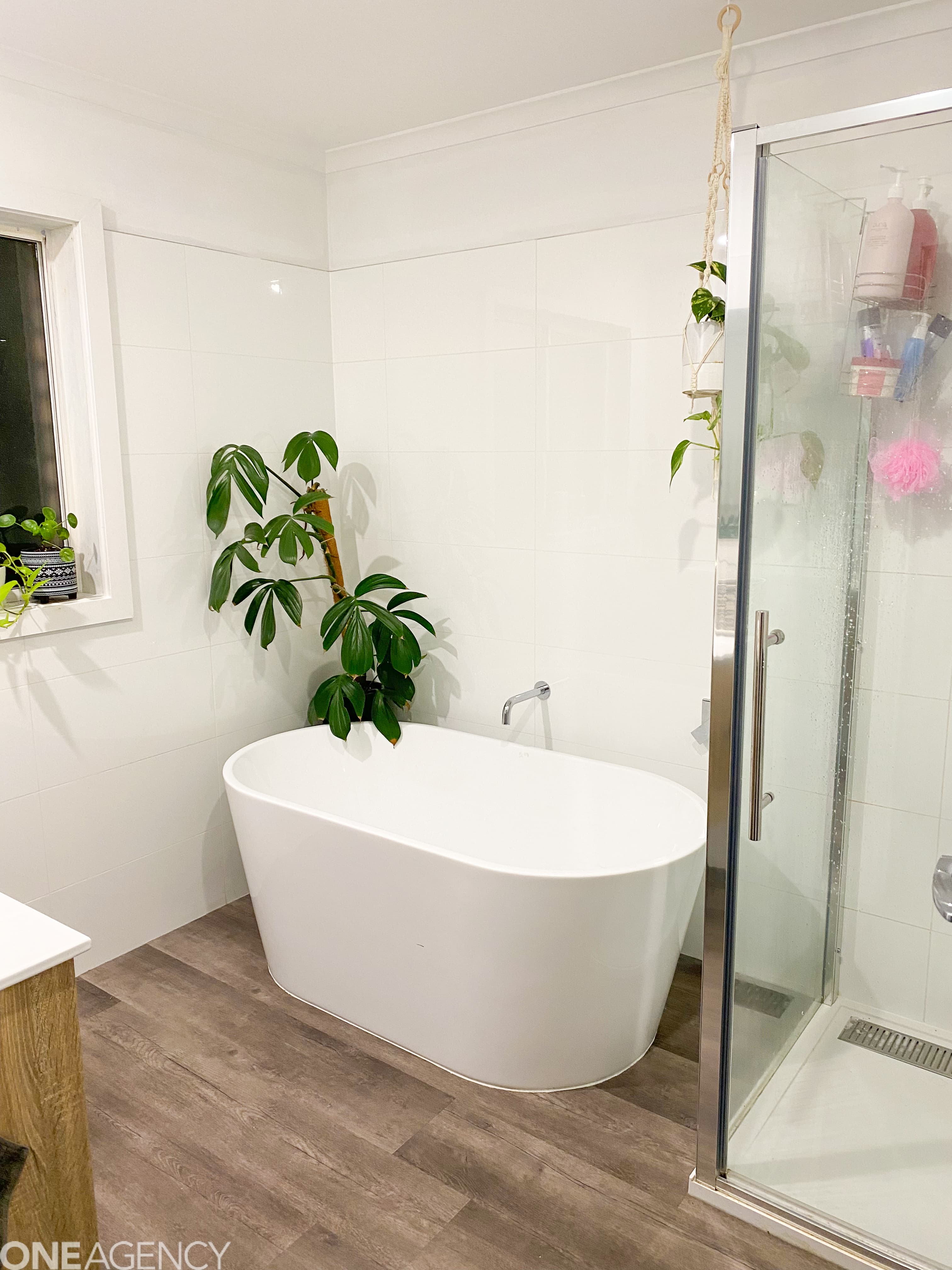 153 Quarantine Road, Norwood, Norwood - Thumbnail 7