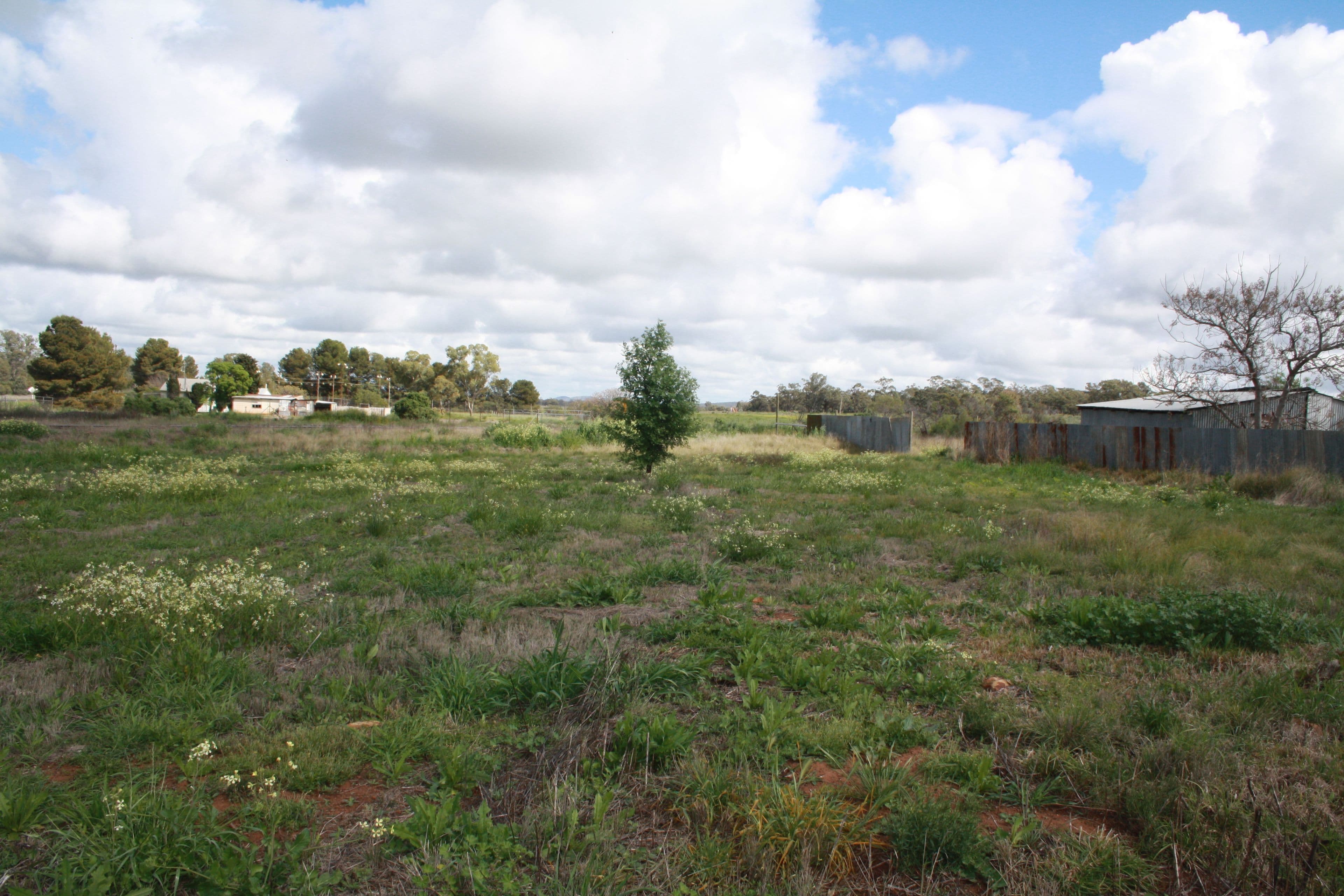 Lot 110 West Street, Bogan Gate, Bogan Gate - Thumbnail 2