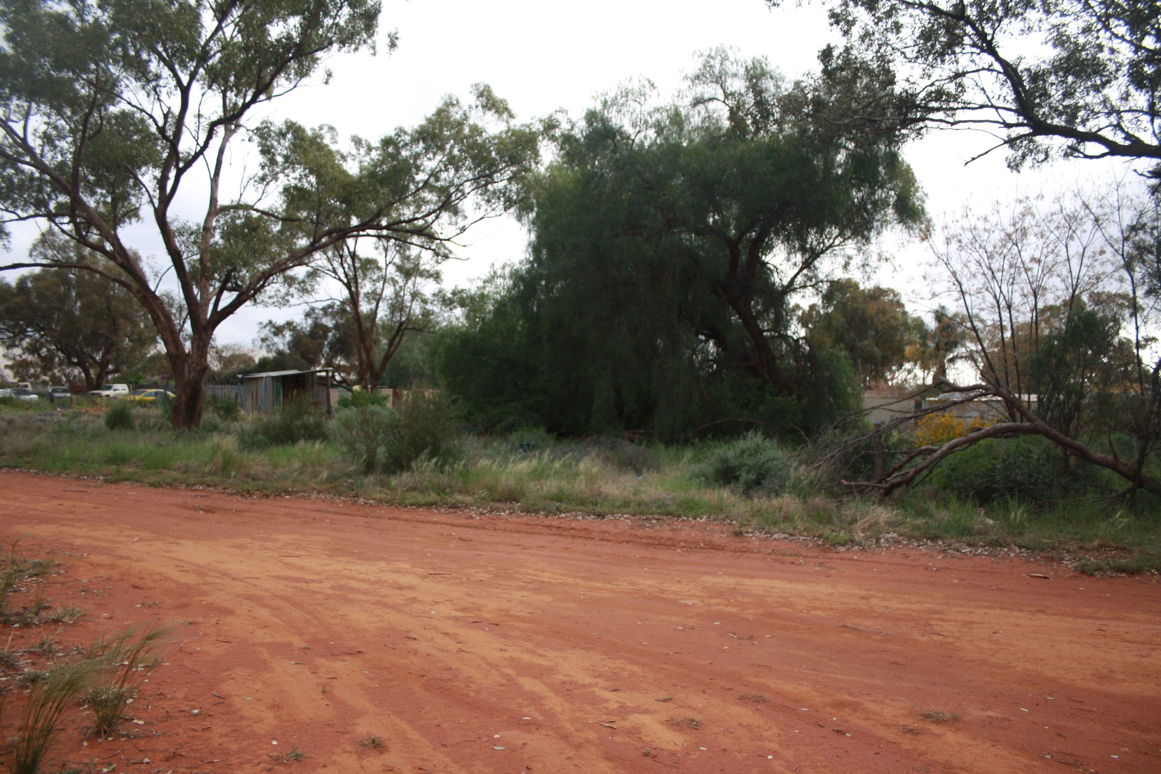 21 Illewong Street, Euabalong West, Euabalong West - Thumbnail 3