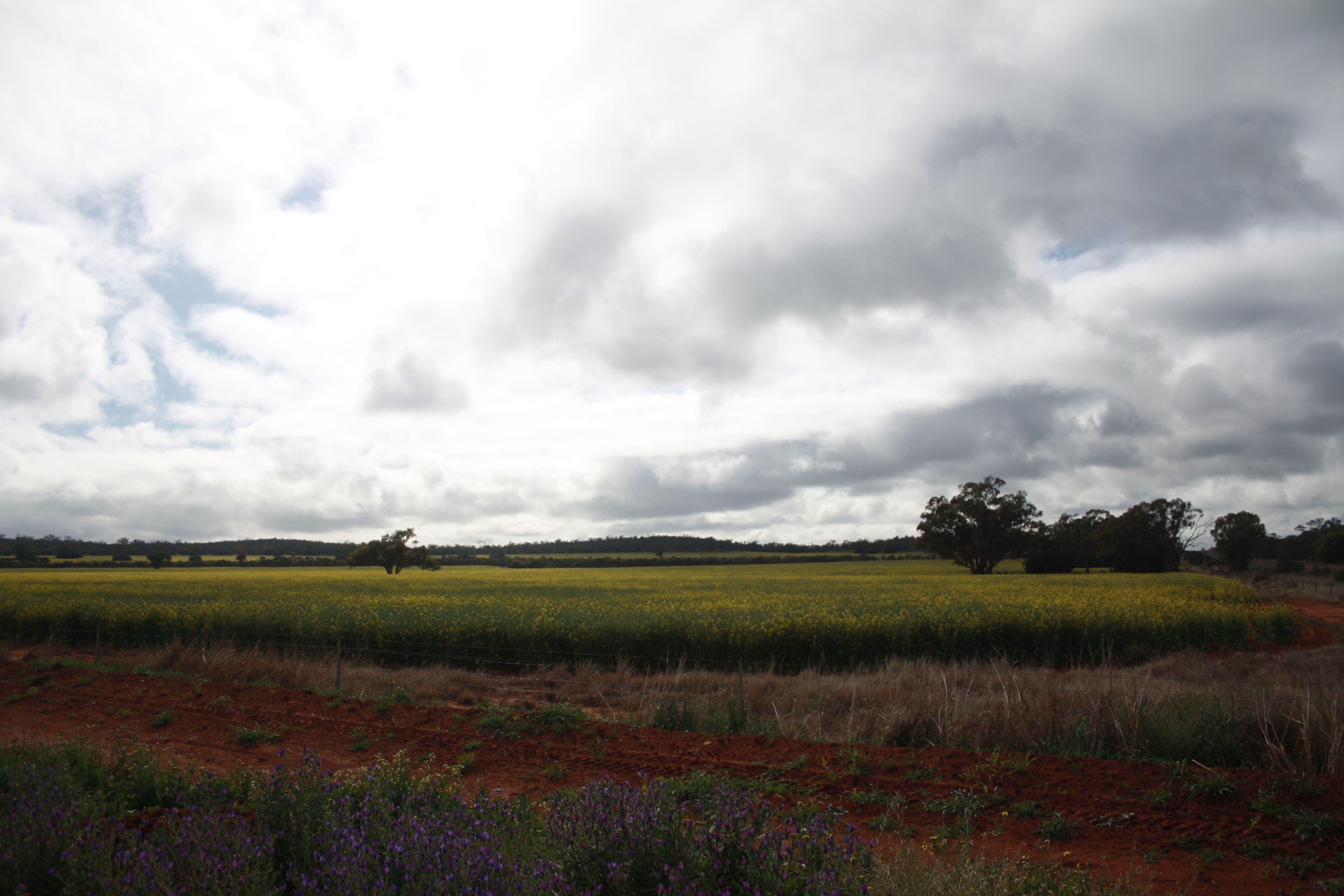 21 Illewong Street, Euabalong West, Euabalong West - Thumbnail 5