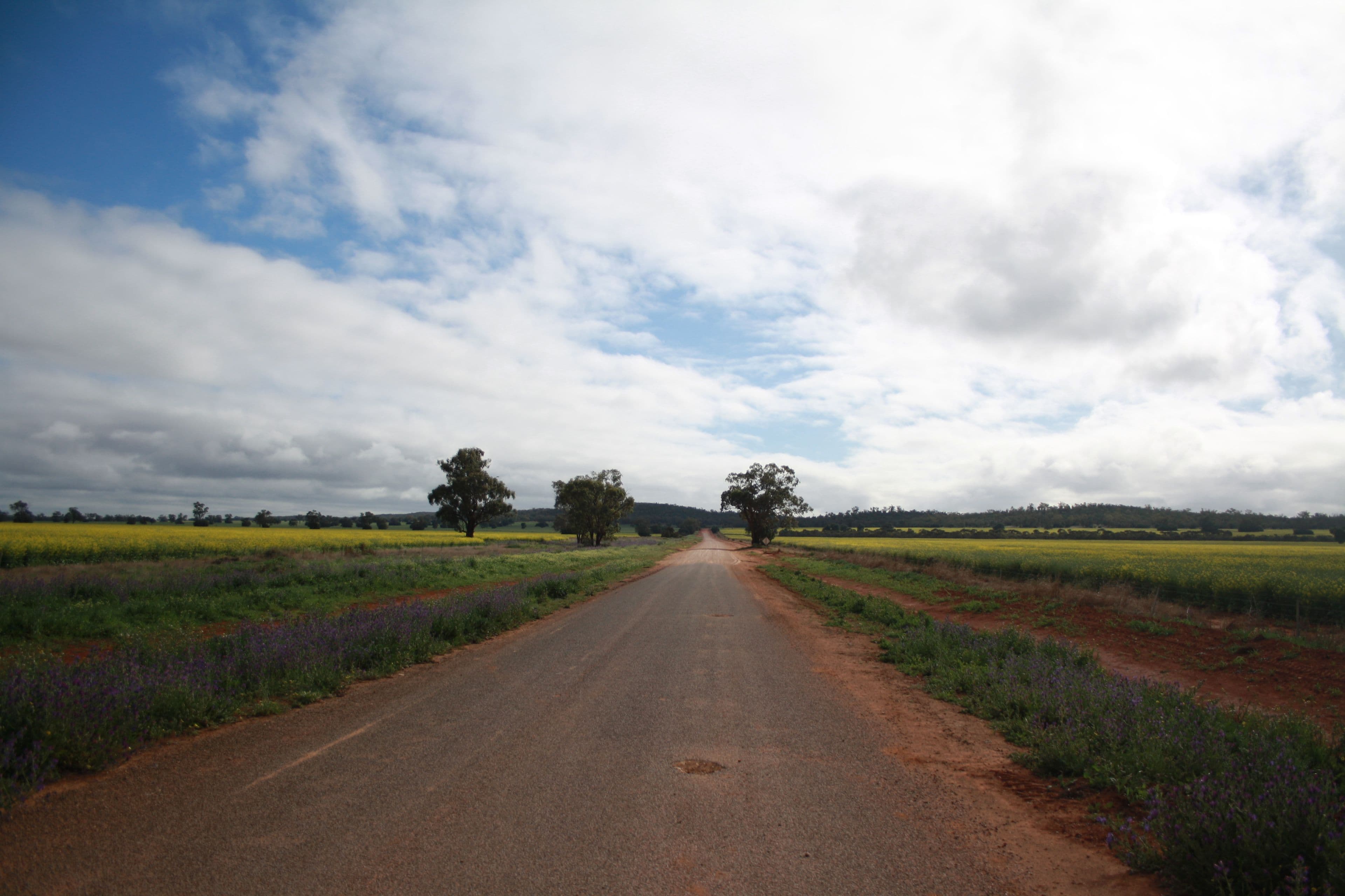 21 Illewong Street, Euabalong West, Euabalong West - Thumbnail 6