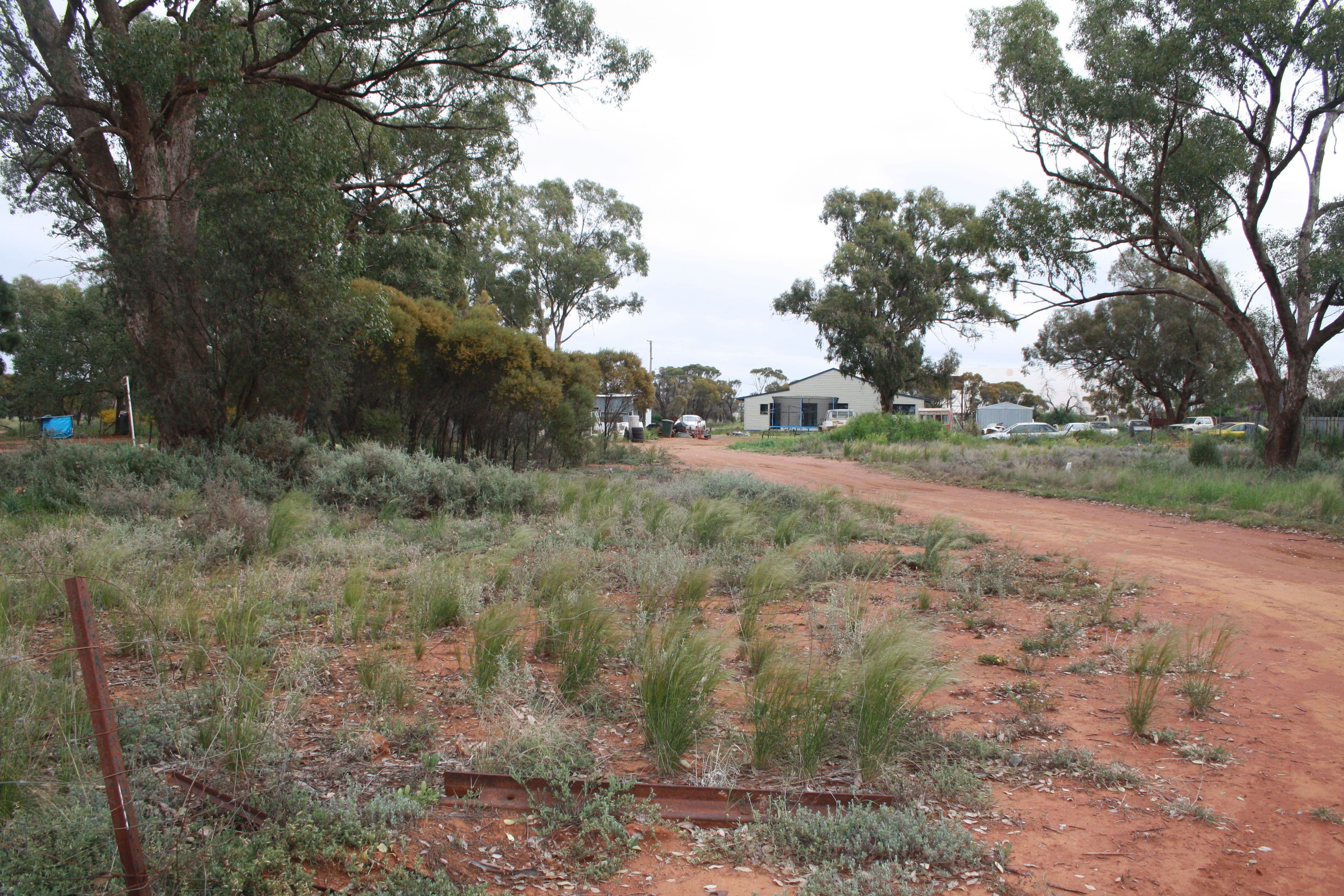 21 Illewong Street, Euabalong West, Euabalong West - Image 1
