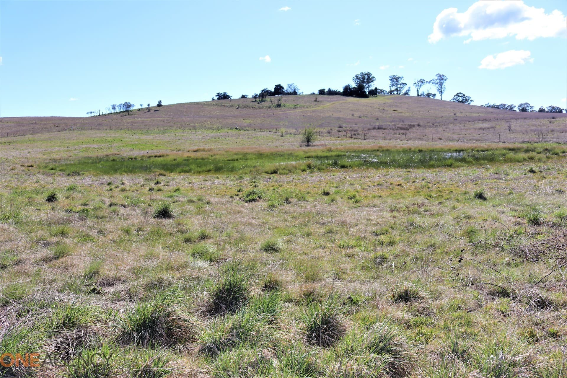 134 Long Swamp Road, Millthorpe, Millthorpe - Thumbnail 2
