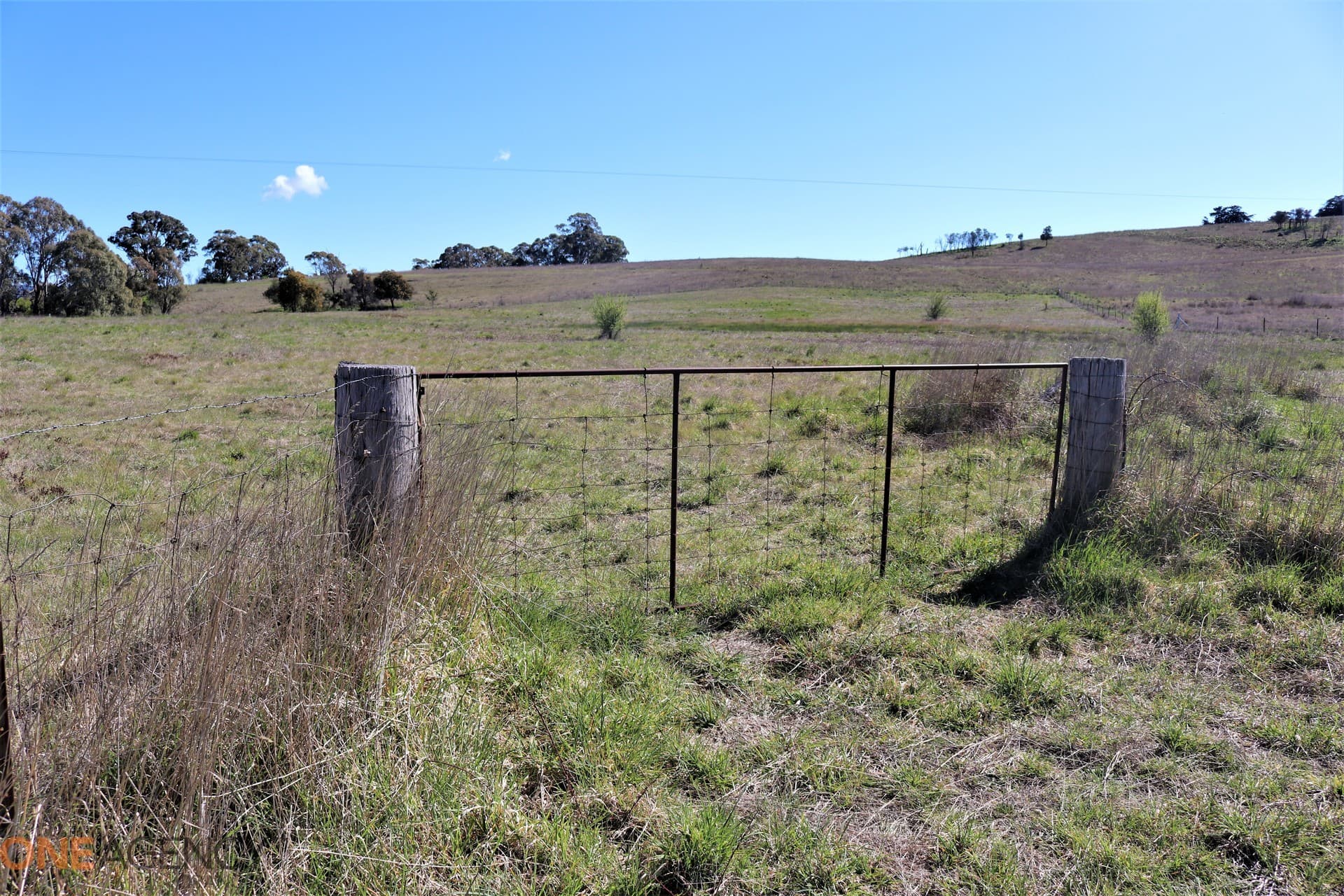 134 Long Swamp Road, Millthorpe, Millthorpe - Thumbnail 4