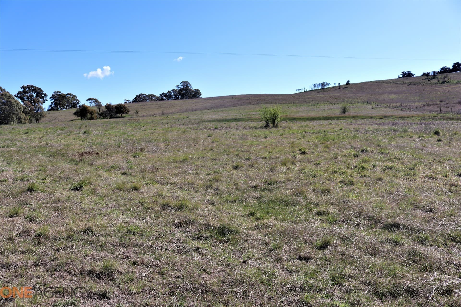 134 Long Swamp Road, Millthorpe, Millthorpe - Thumbnail 5