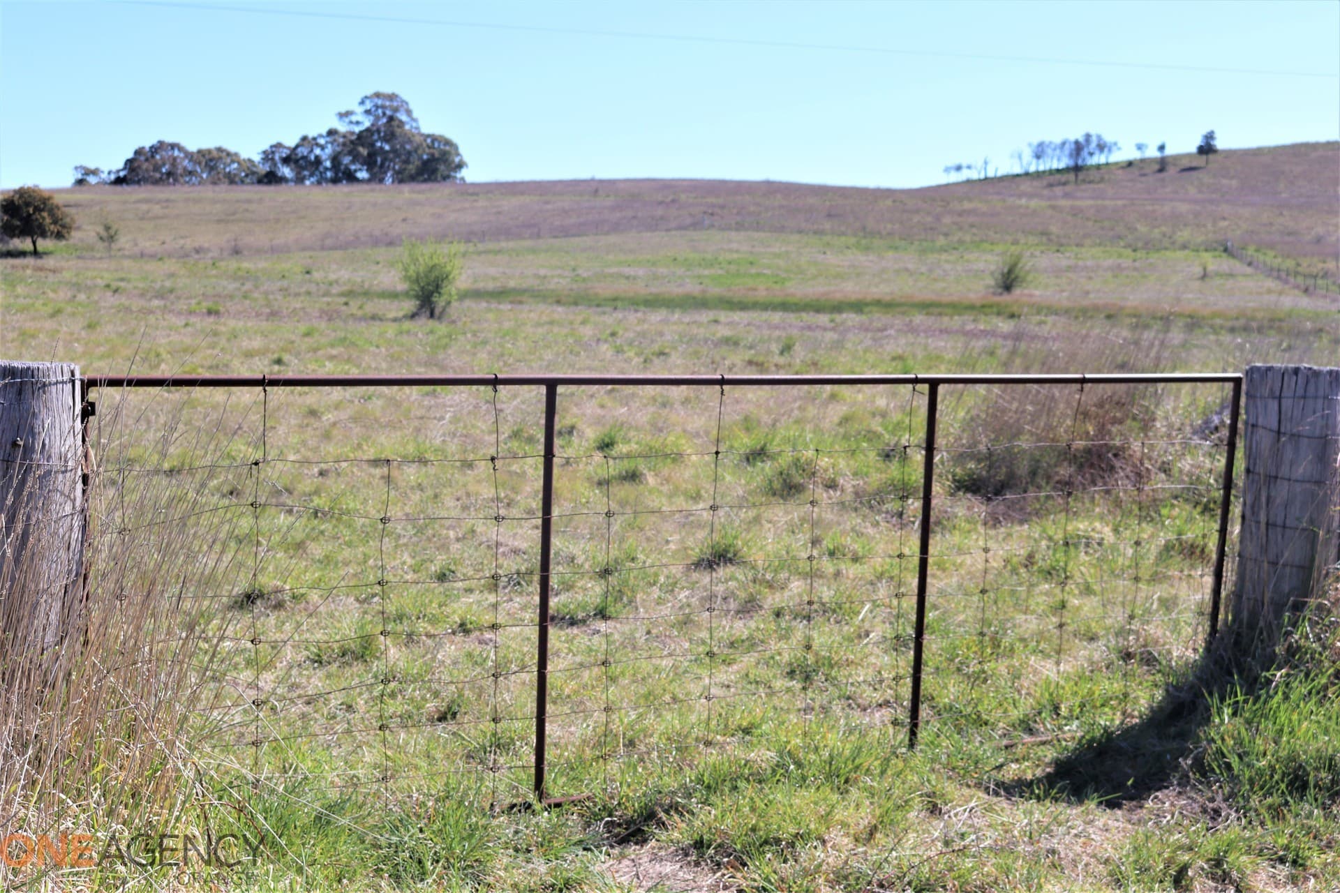 134 Long Swamp Road, Millthorpe, Millthorpe - Thumbnail 6