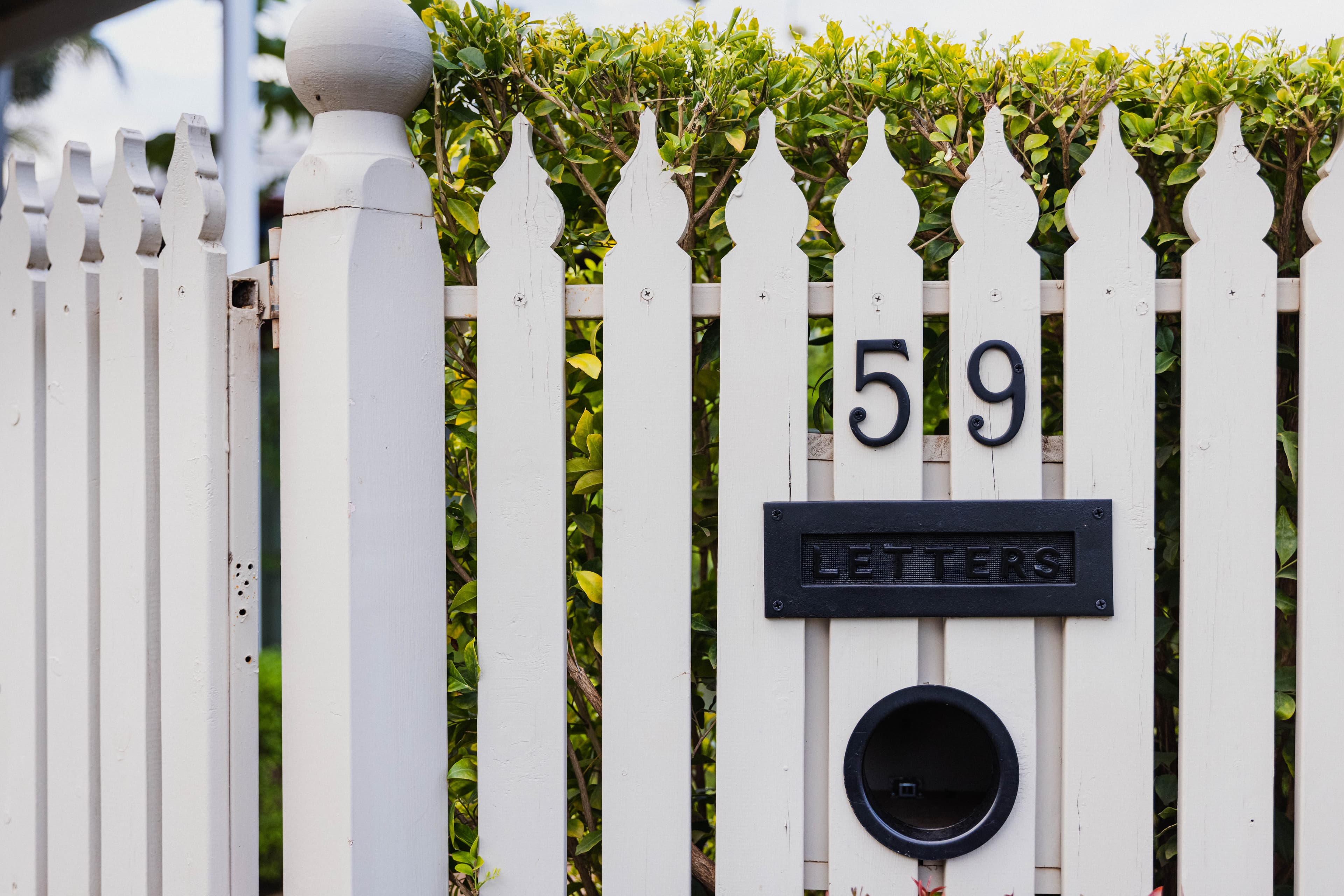 59 Magnolia Avenue, Mildura, Mildura - Thumbnail 3