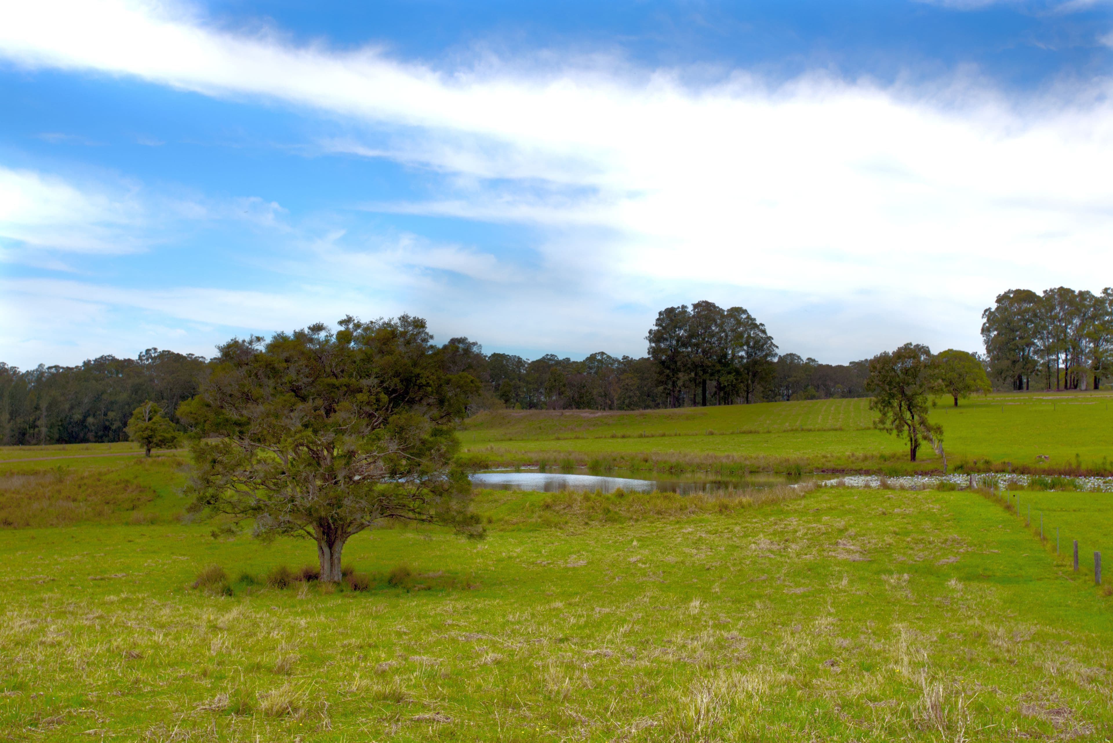 691 Minimbah Road, Minimbah, Minimbah - Thumbnail 5