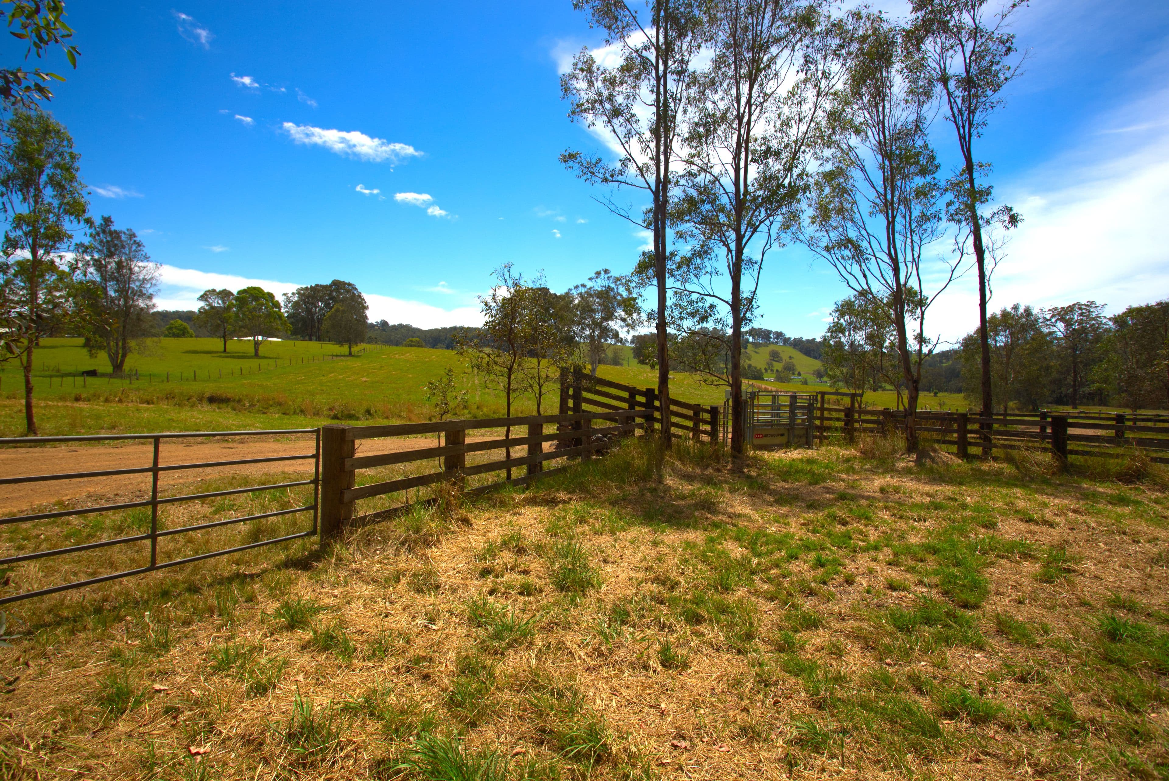 691 Minimbah Road, Minimbah, Minimbah - Thumbnail 8