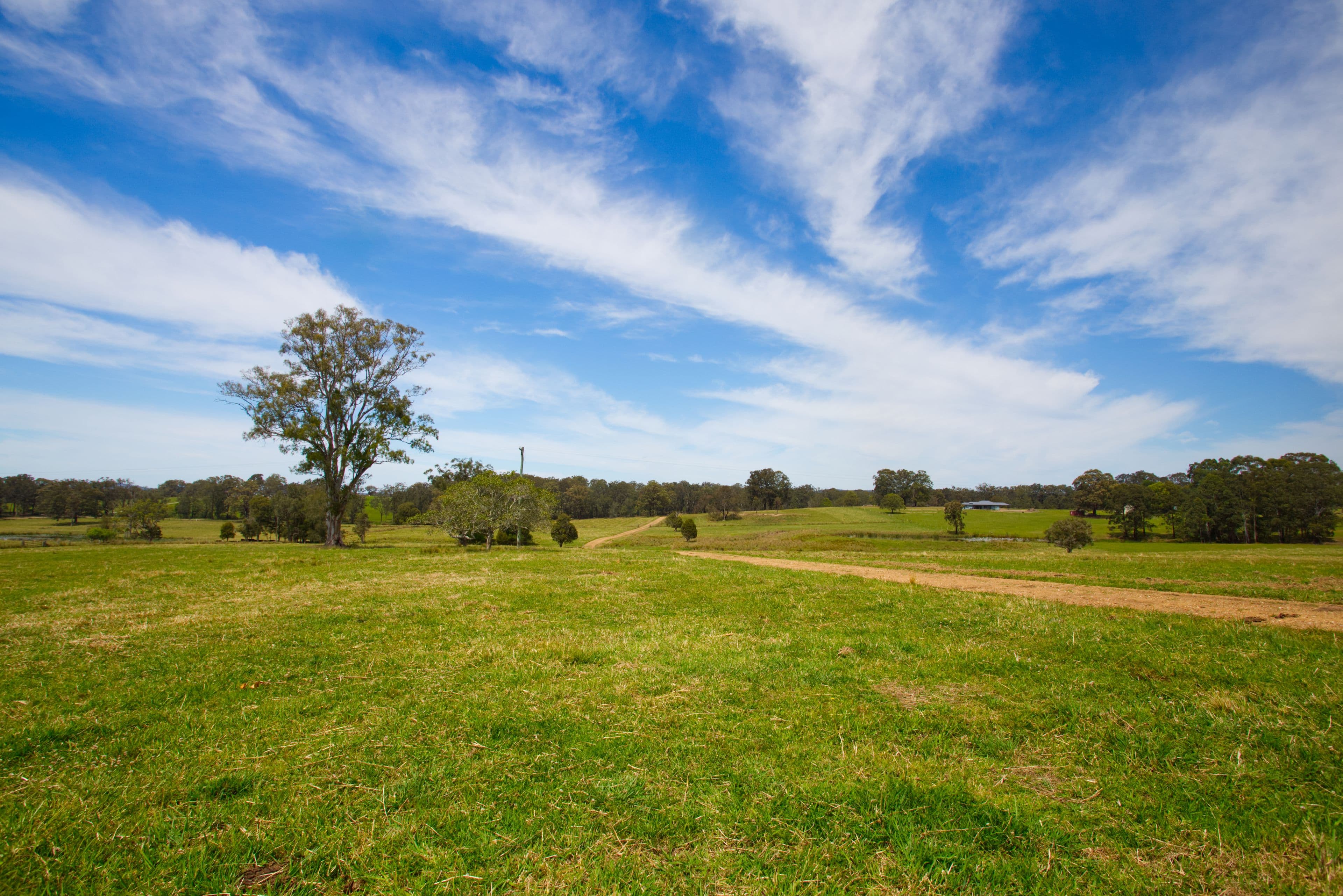 691 Minimbah Road, Minimbah, Minimbah - Image 1