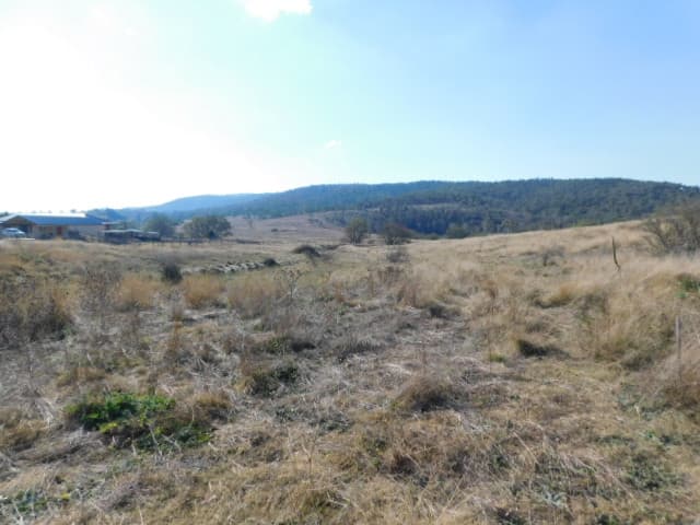 1 Snowy Creek Avenue, Cooma, Cooma - Thumbnail 7