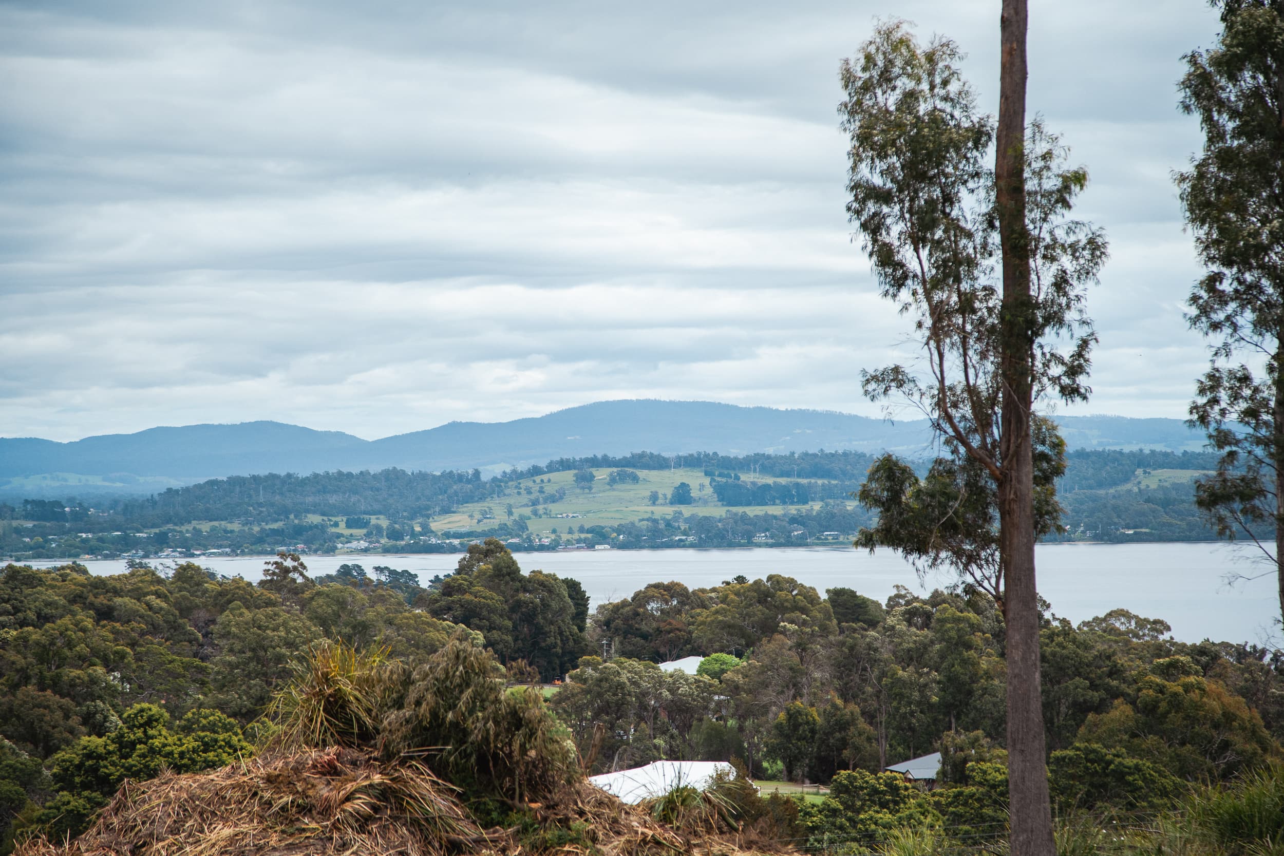 8 Ardea Drive, Swan Bay, Swan Bay - Thumbnail 3