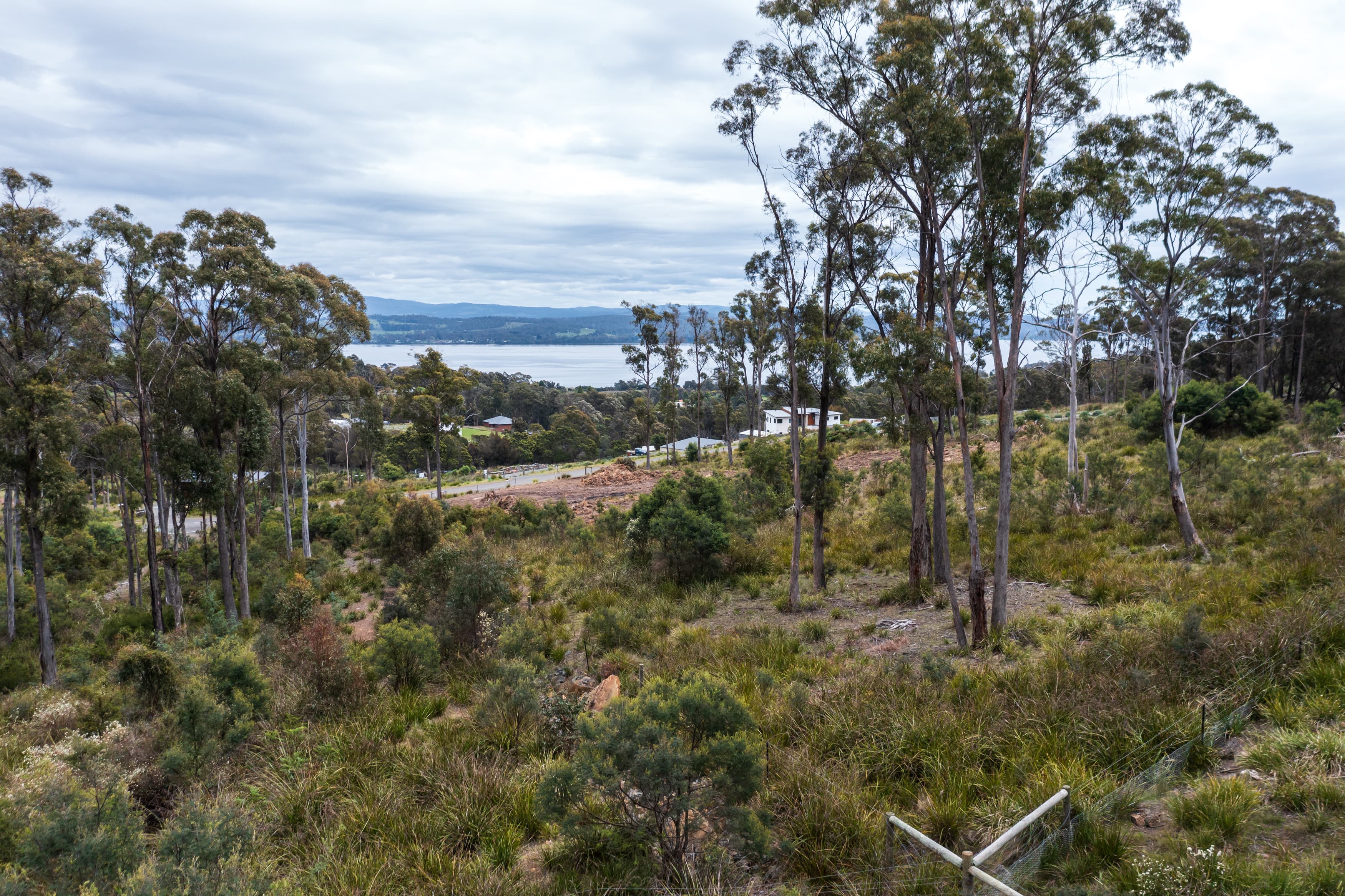8 Ardea Drive, Swan Bay, Swan Bay - Thumbnail 4